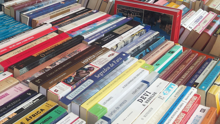 Biblioteca ‘online’ tem mais de 3.000 livros gratuitos em português europeu