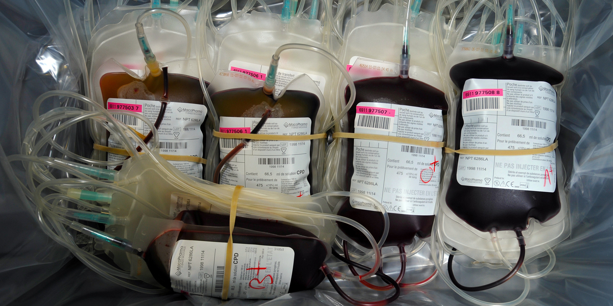 Centro Hospitalar do Médio Tejo confirma erro clínico em transfusão de sangue