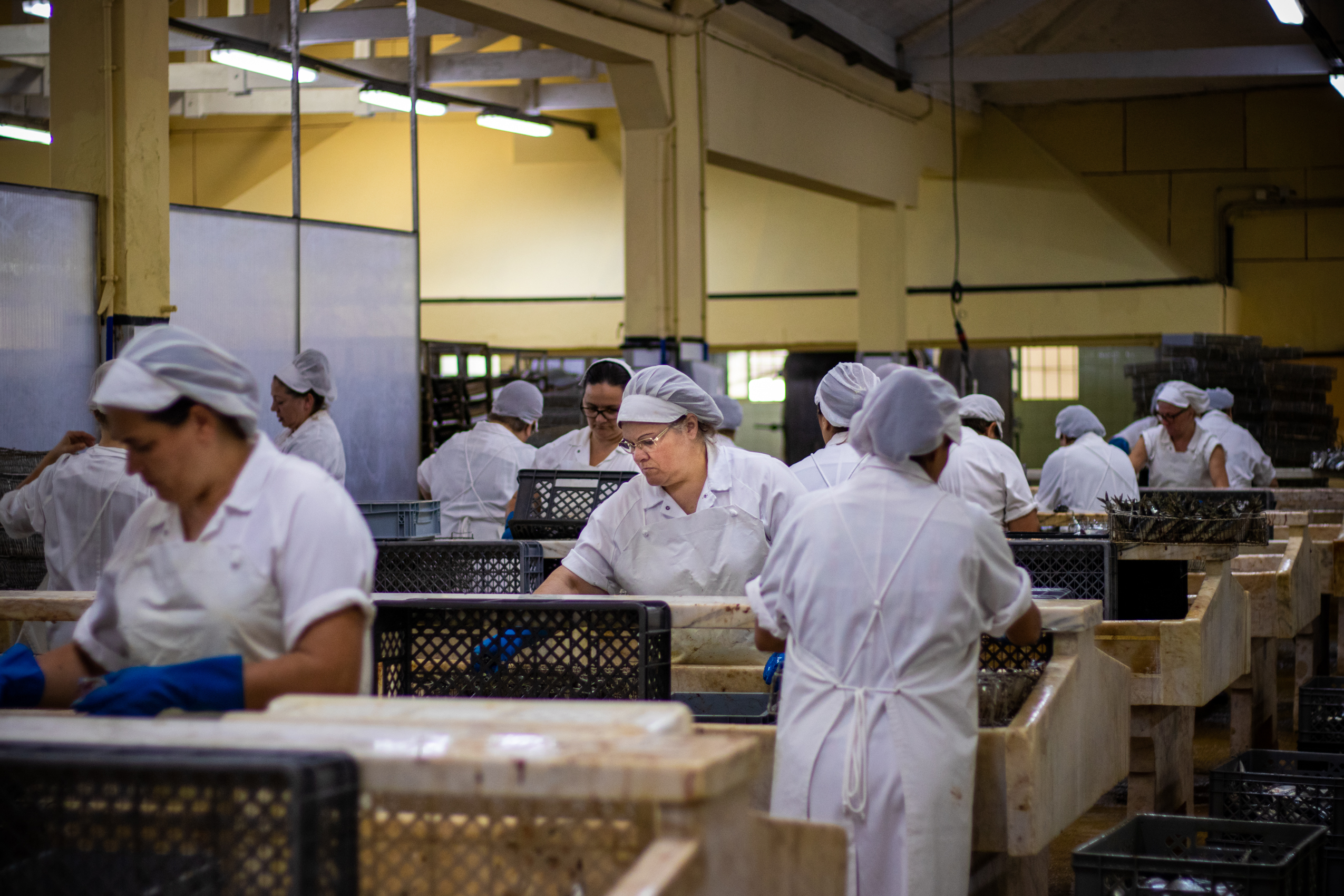 Custo do Trabalho sobe 6% com aumento dos custos por trabalhador e redução de horas trabalhadas