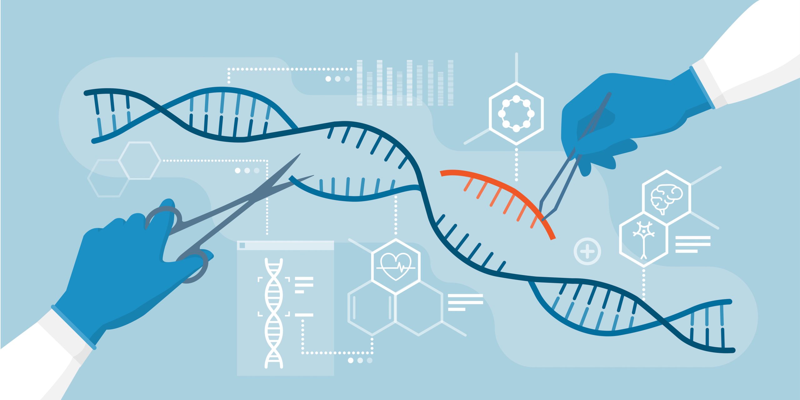 CRISPR: Da terapia ao melhoramento, onde está a fronteira quando aprendemos a reescrever o mapa da vida?