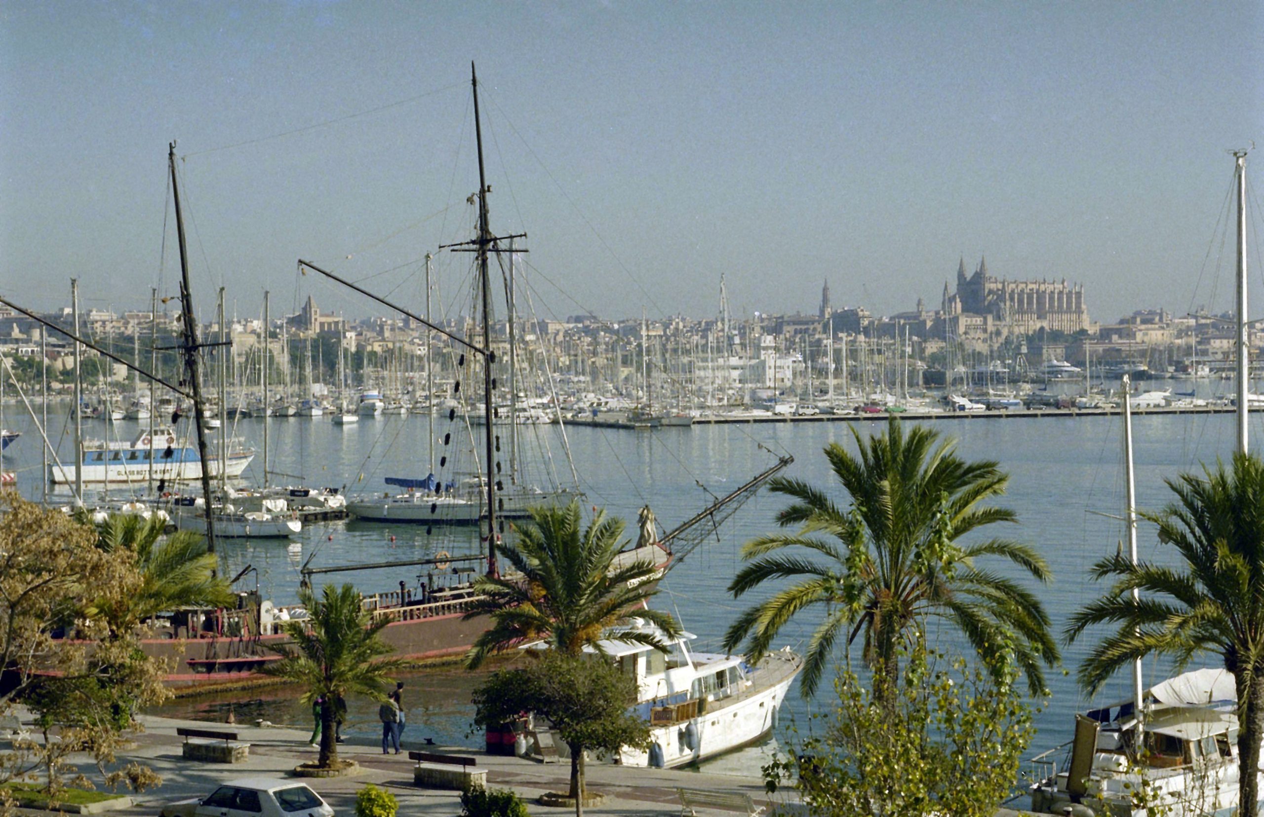 Detidos responsáveis por transportar imigrantes num barco que entrou em Maiorca