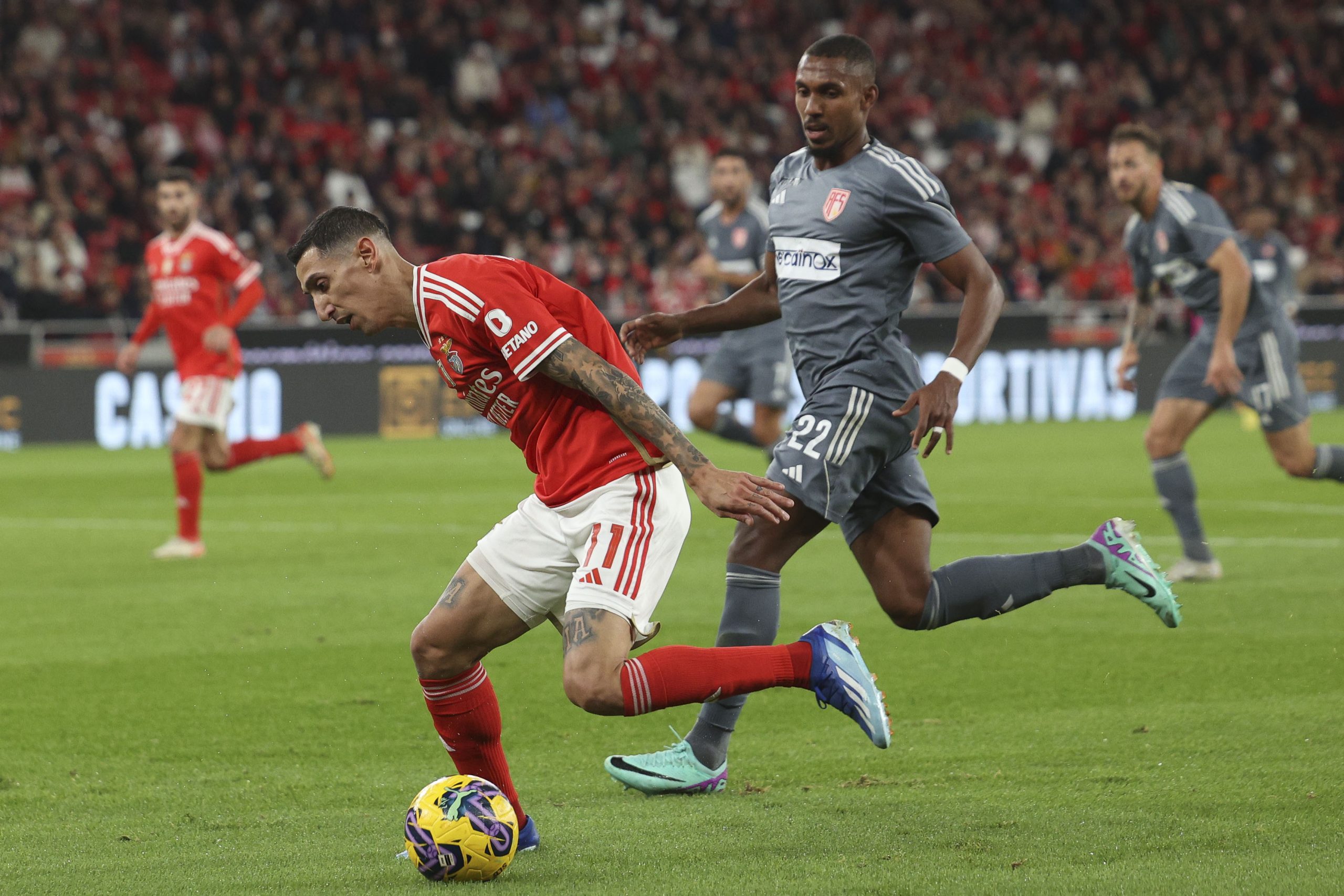 Benfica apura-se para ‘final four’ da Taça da Liga com triunfo por 4-1 sobre o AVS