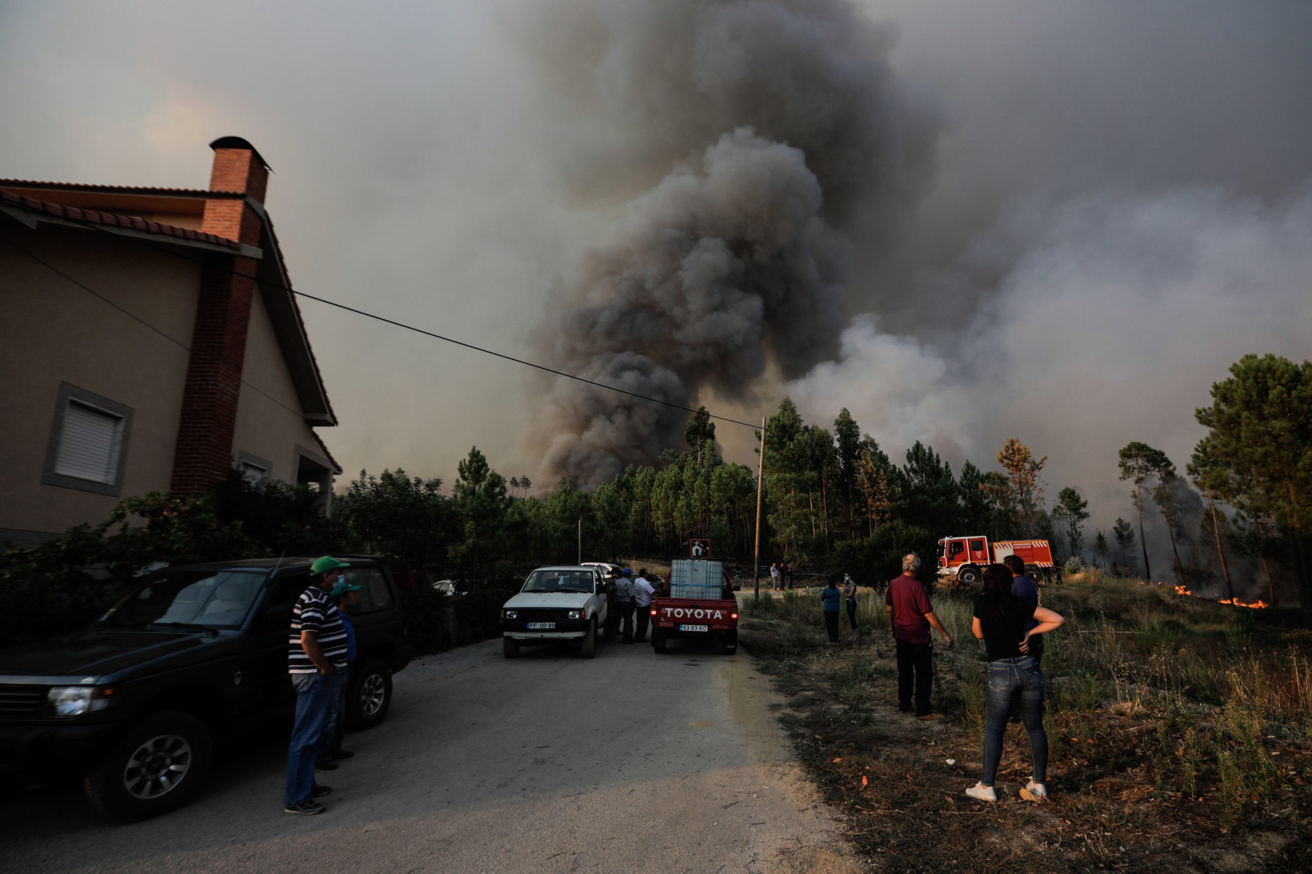 Incêndios: Fogo que começou em Proença-a-Nova no domingo entrou em fase de resolução
