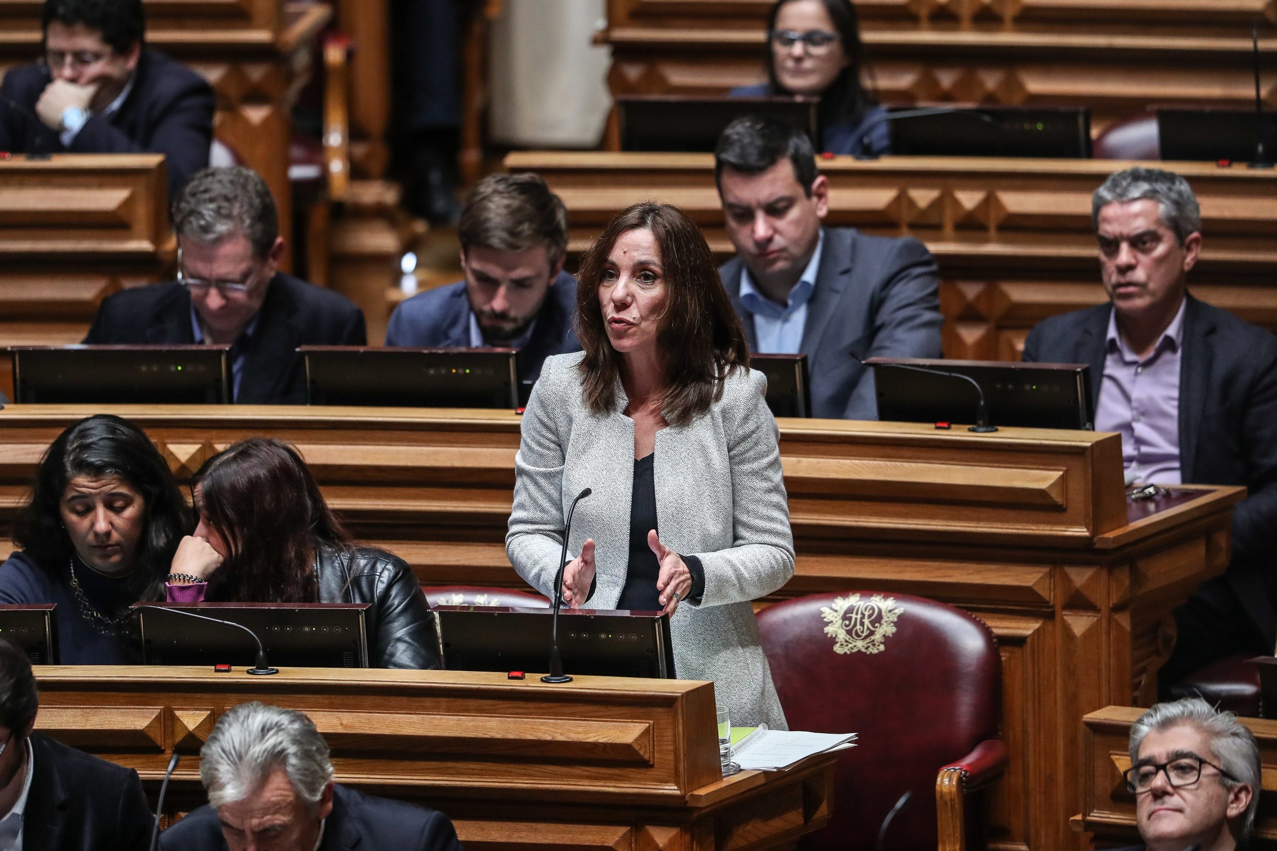 PEV anuncia voto contra moção de censura ao Governo