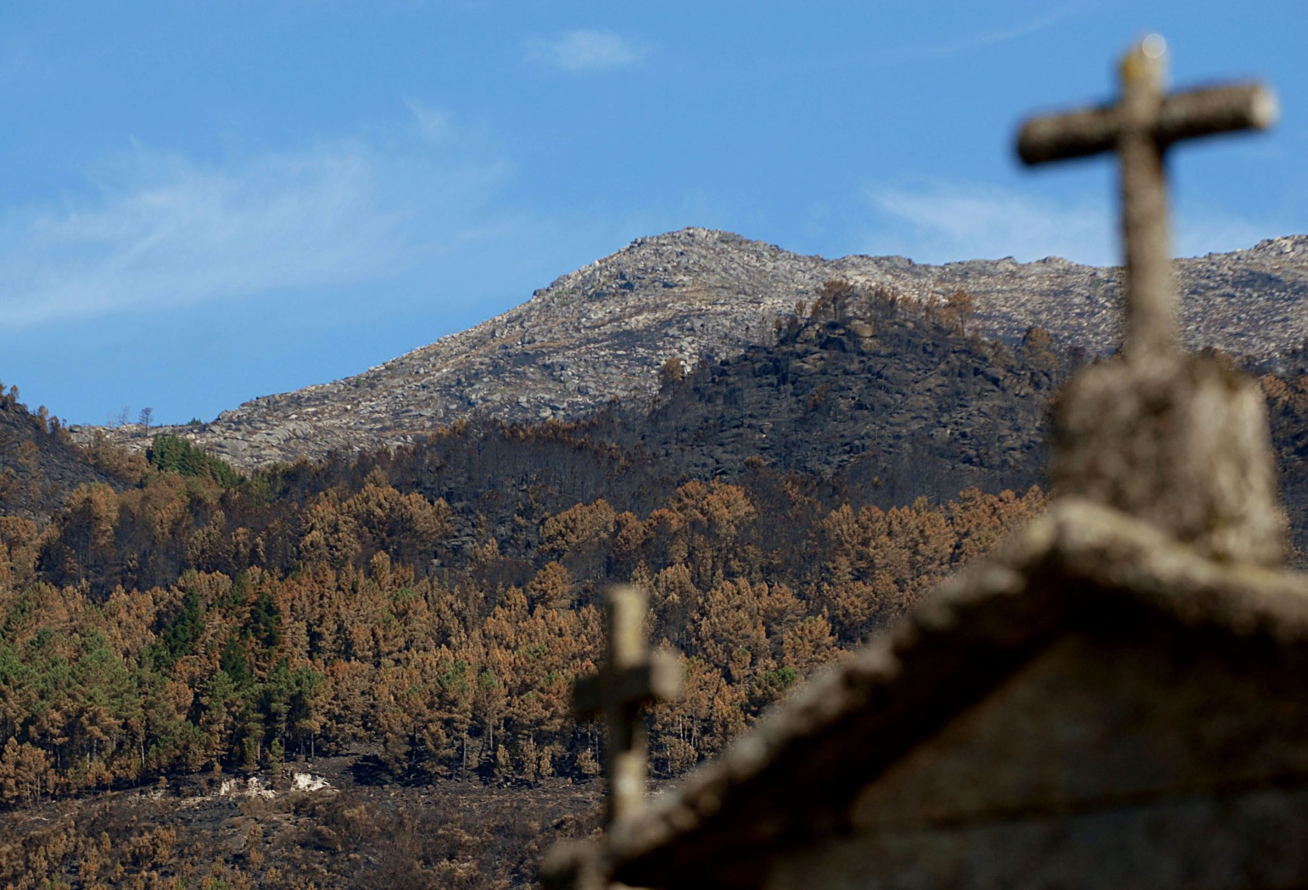 Fundo para proteção dos animais selvagens contra exploração de lítio no Gerês