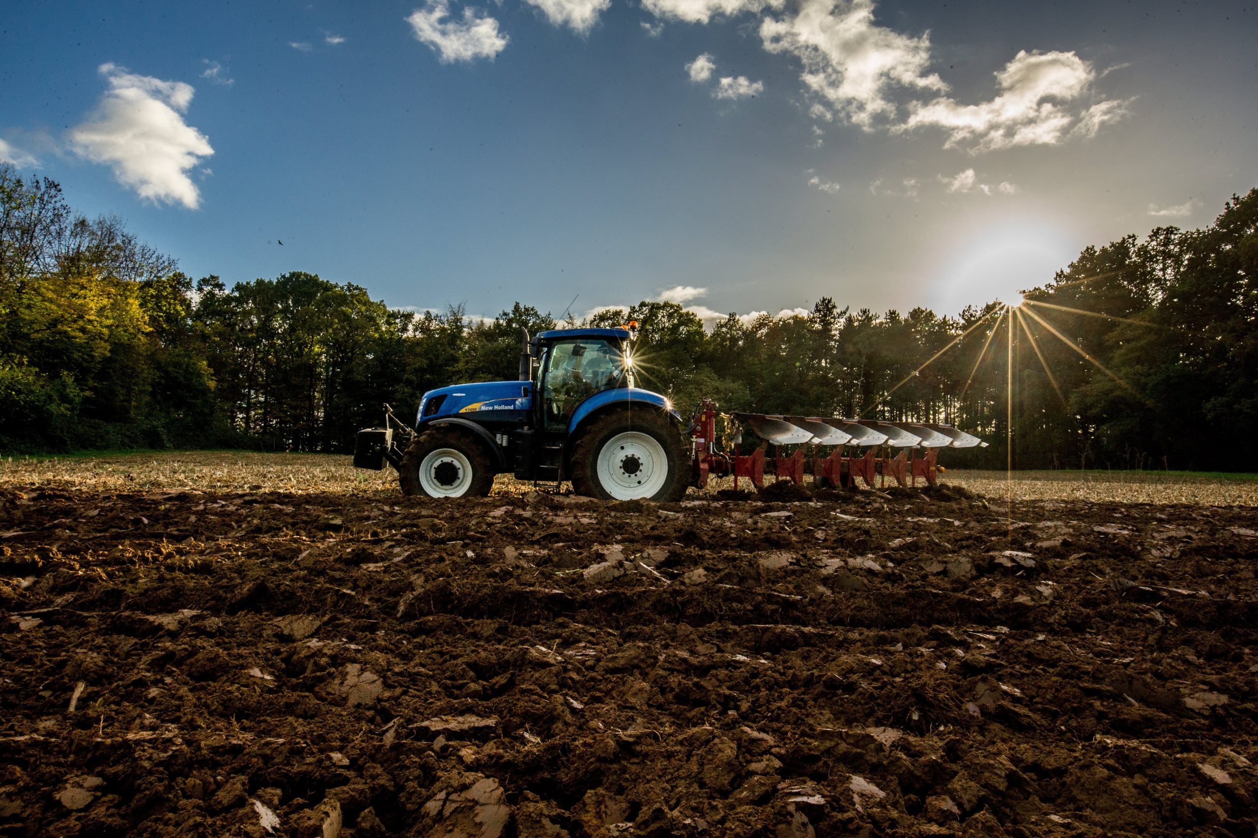 Falta de água ameaça produção de milho em Portugal