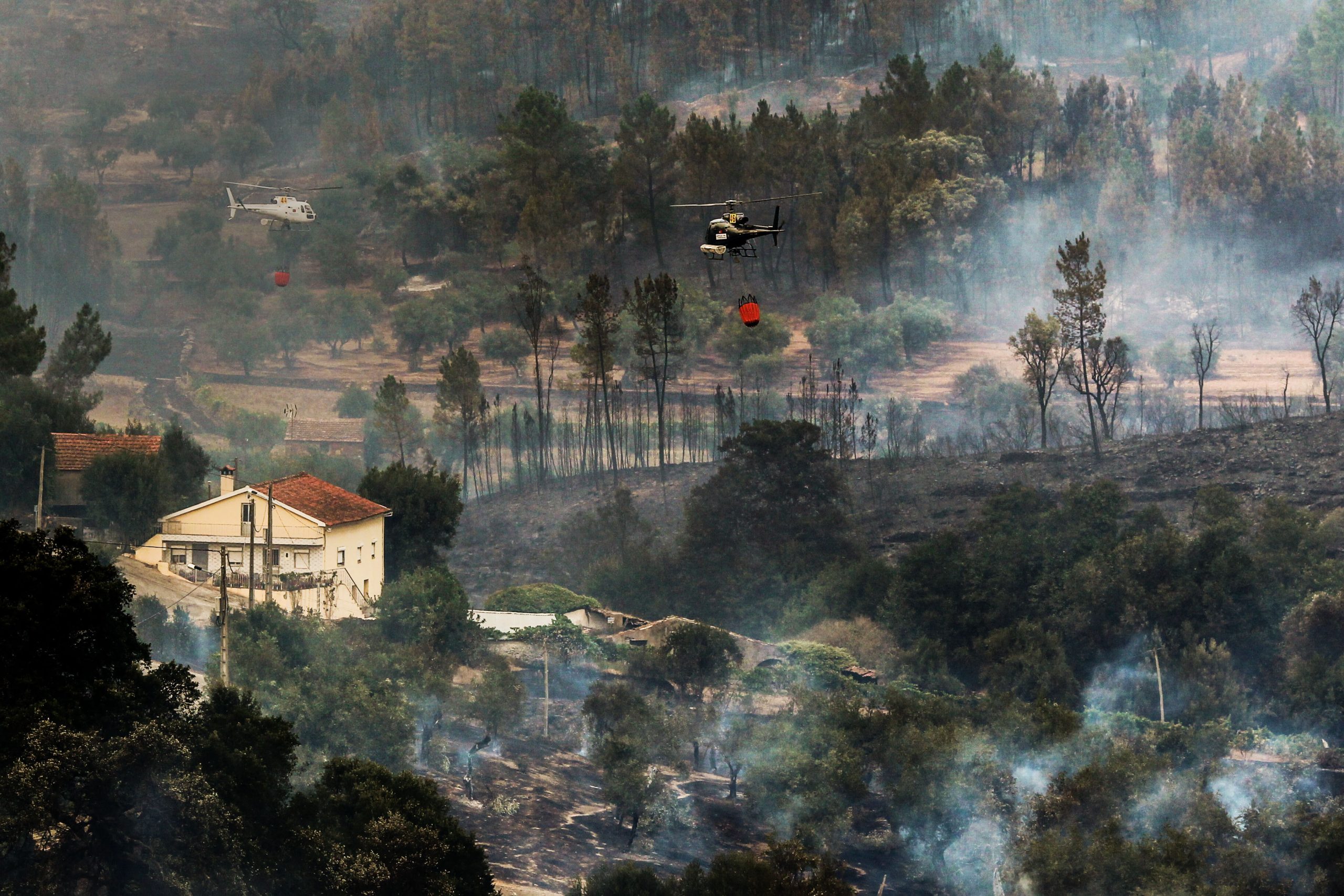 Incêndios: Sertã diz que faltam recursos humanos para projeto-piloto do cadastro