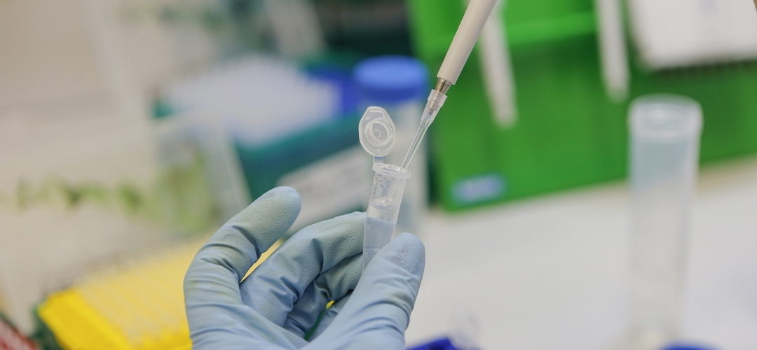 Infarmed recebeu 187 pedidos para realização de testes de novos medicamentos