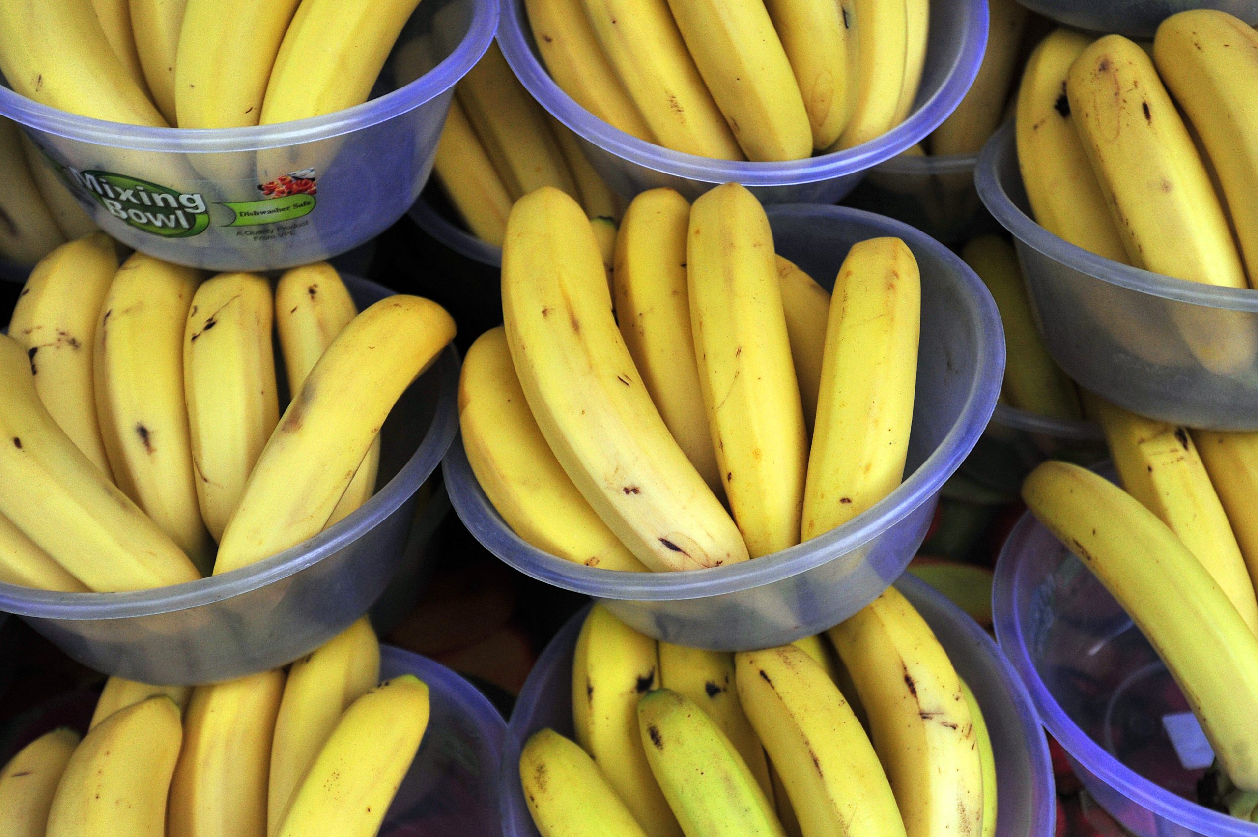 Estudo indica que banana, aveia e iogurte aumentam risco de diabetes tipo 1 em crianças suscetíveis à doença