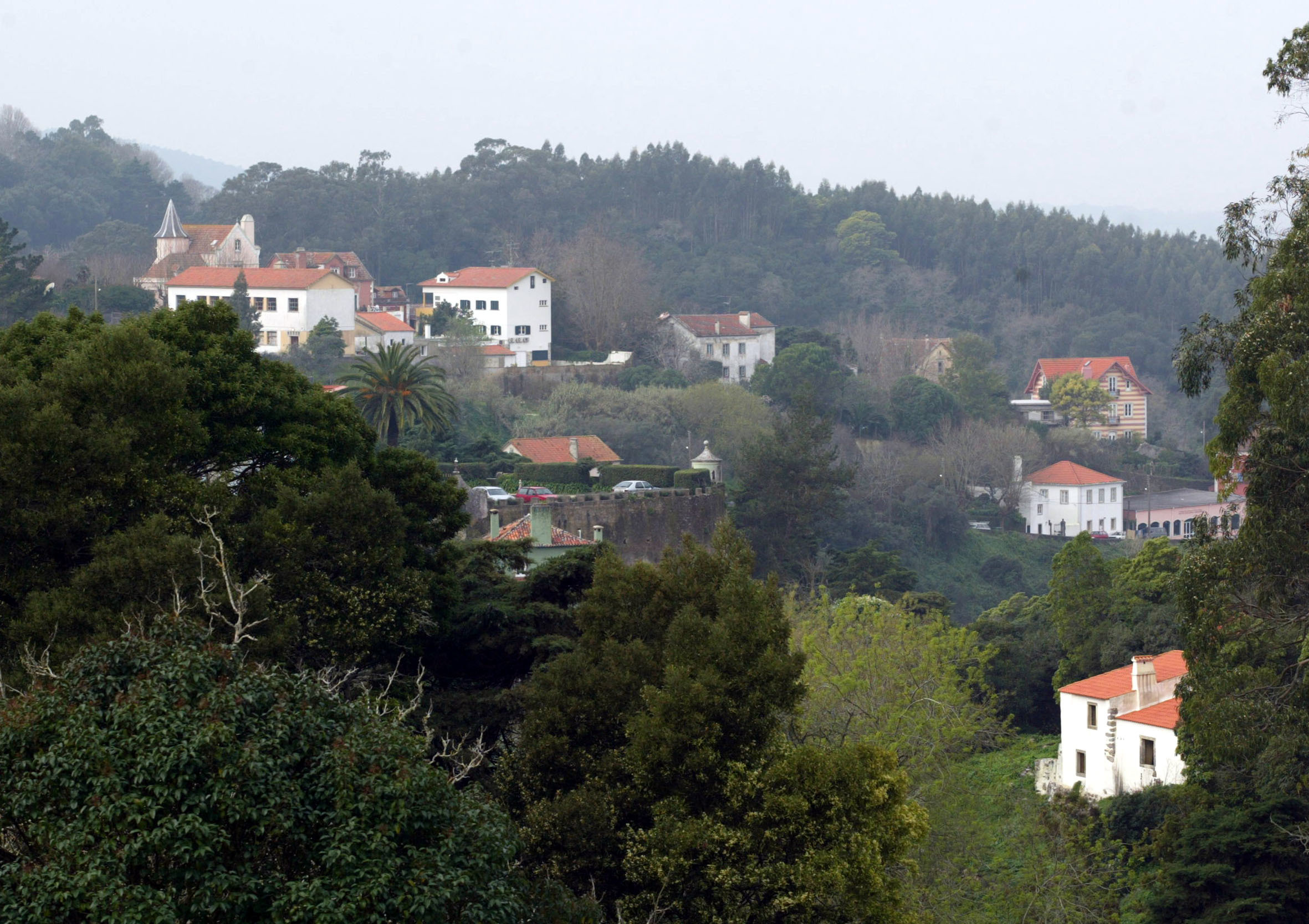 Incêndios: Serra de Sintra e monumentos encerrados ao público até sexta-feira