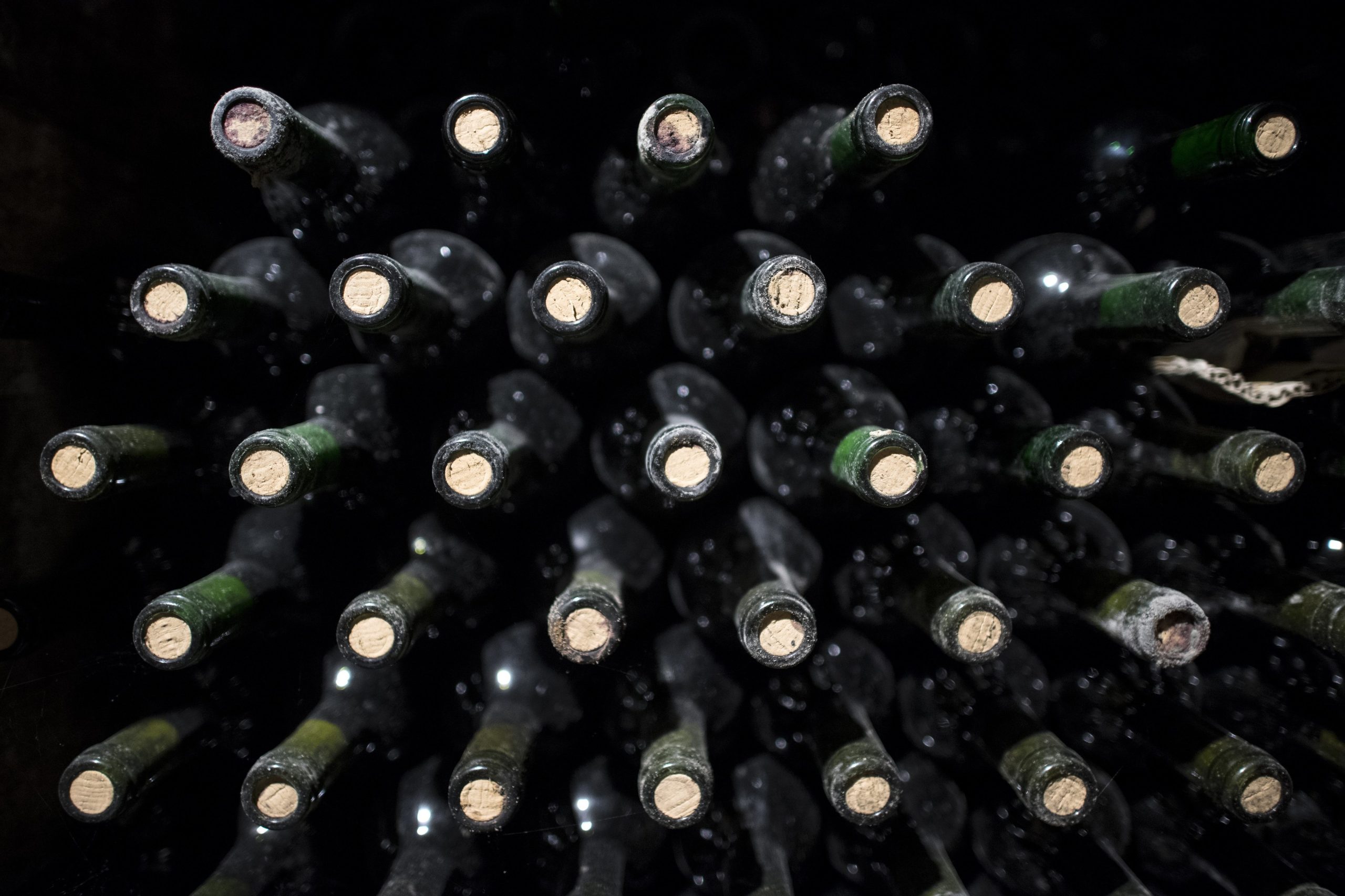 Comissão Europeia confirma que está a trabalhar em alertas de saúde no vinho