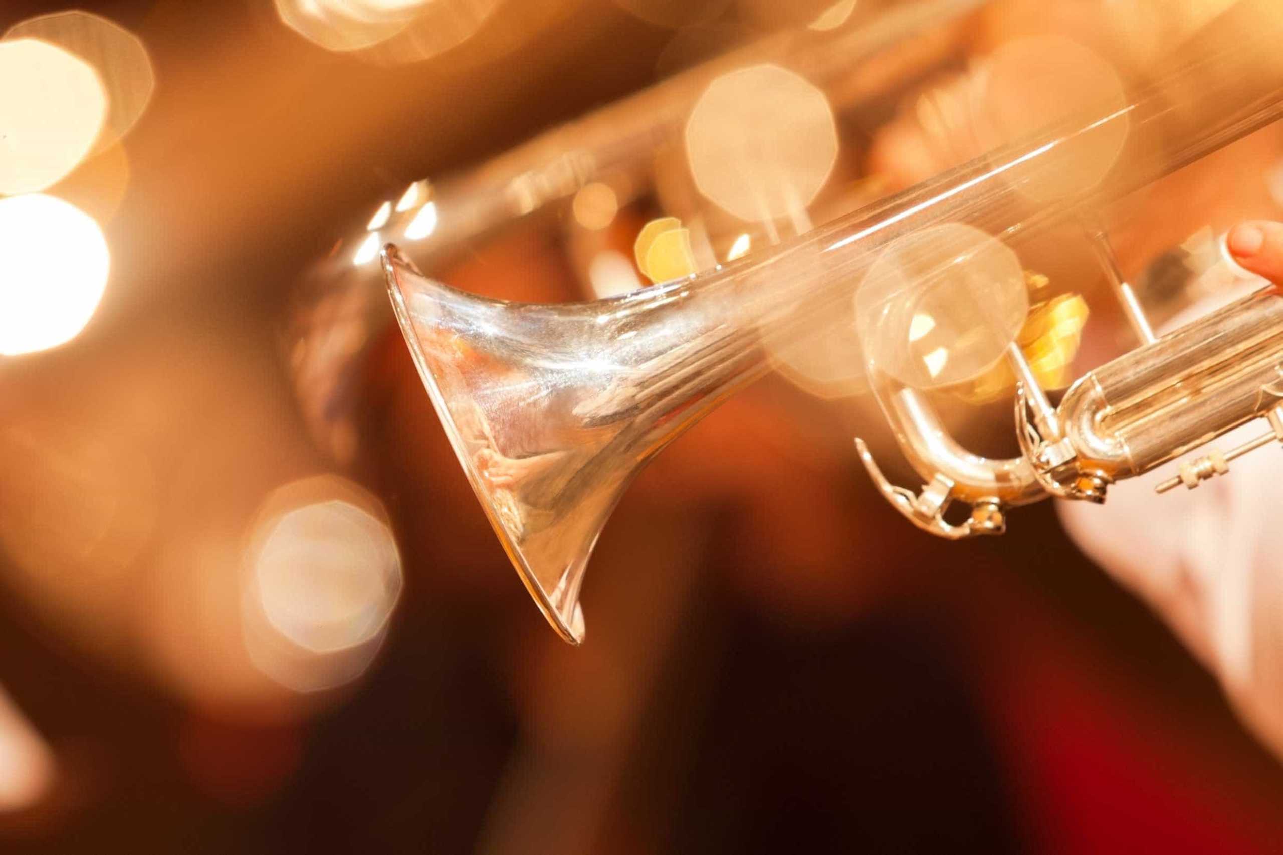 Diversidade e qualidade na segunda edição do Festival de Jazz da Mealhada