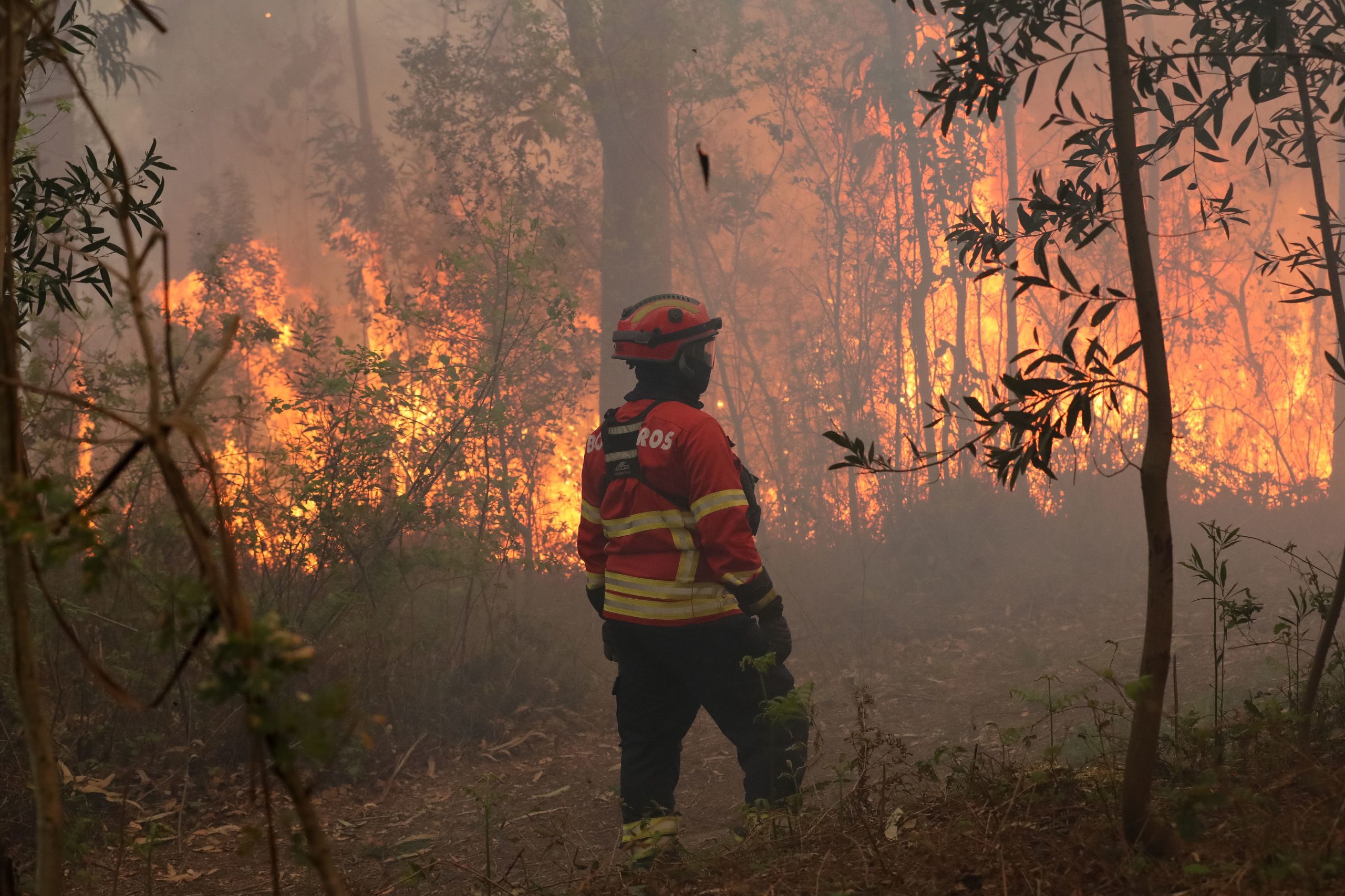 Incêndios. GNR retira perto de 50 pessoas do Castelo de Sesimbra devido a fogo