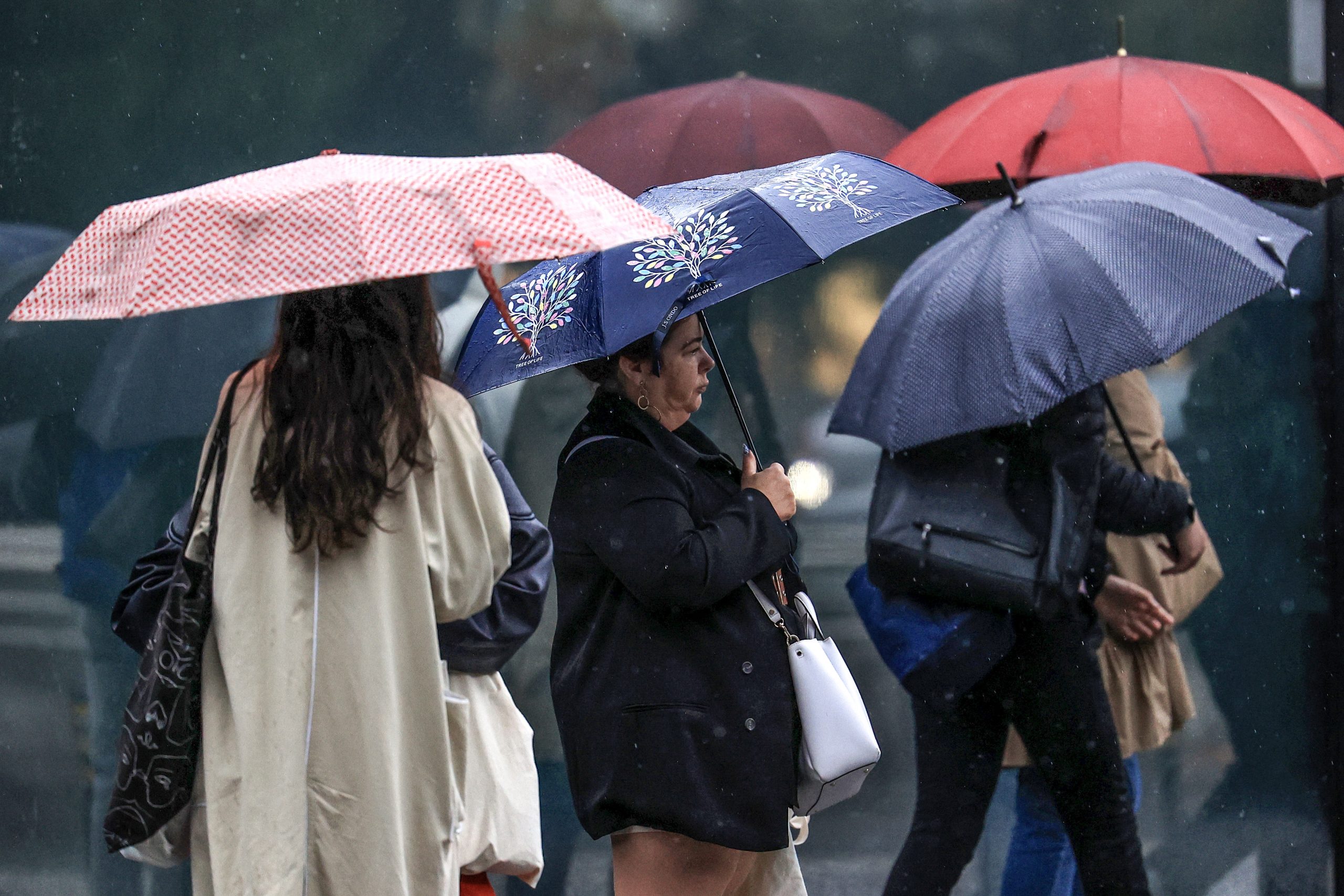 Depressão Emilia traz chuva intensa, neve e forte agitação marítima
