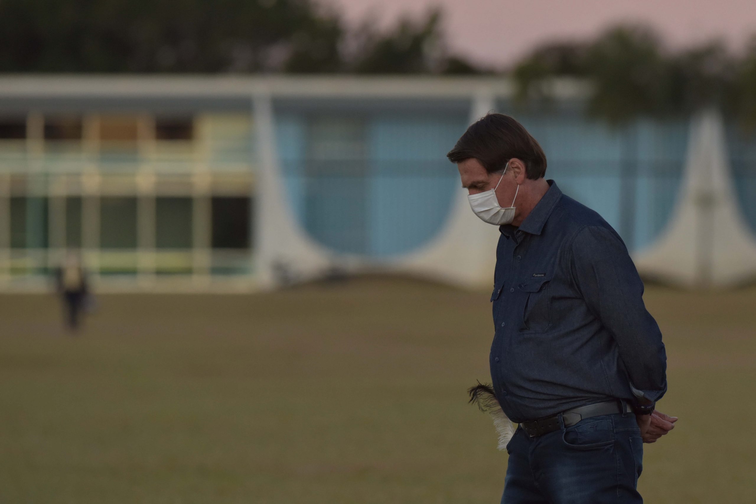 HRW critica “desapreço total” de Bolsonaro por ONG e acusa-o de destruir a Amazónia