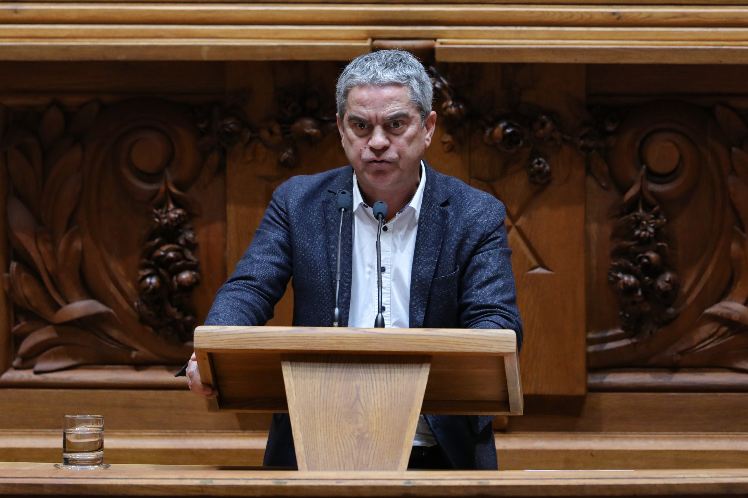 OE2020: Verdes apresentam 60 propostas na especialidade após “dar oportunidade” ao PS
