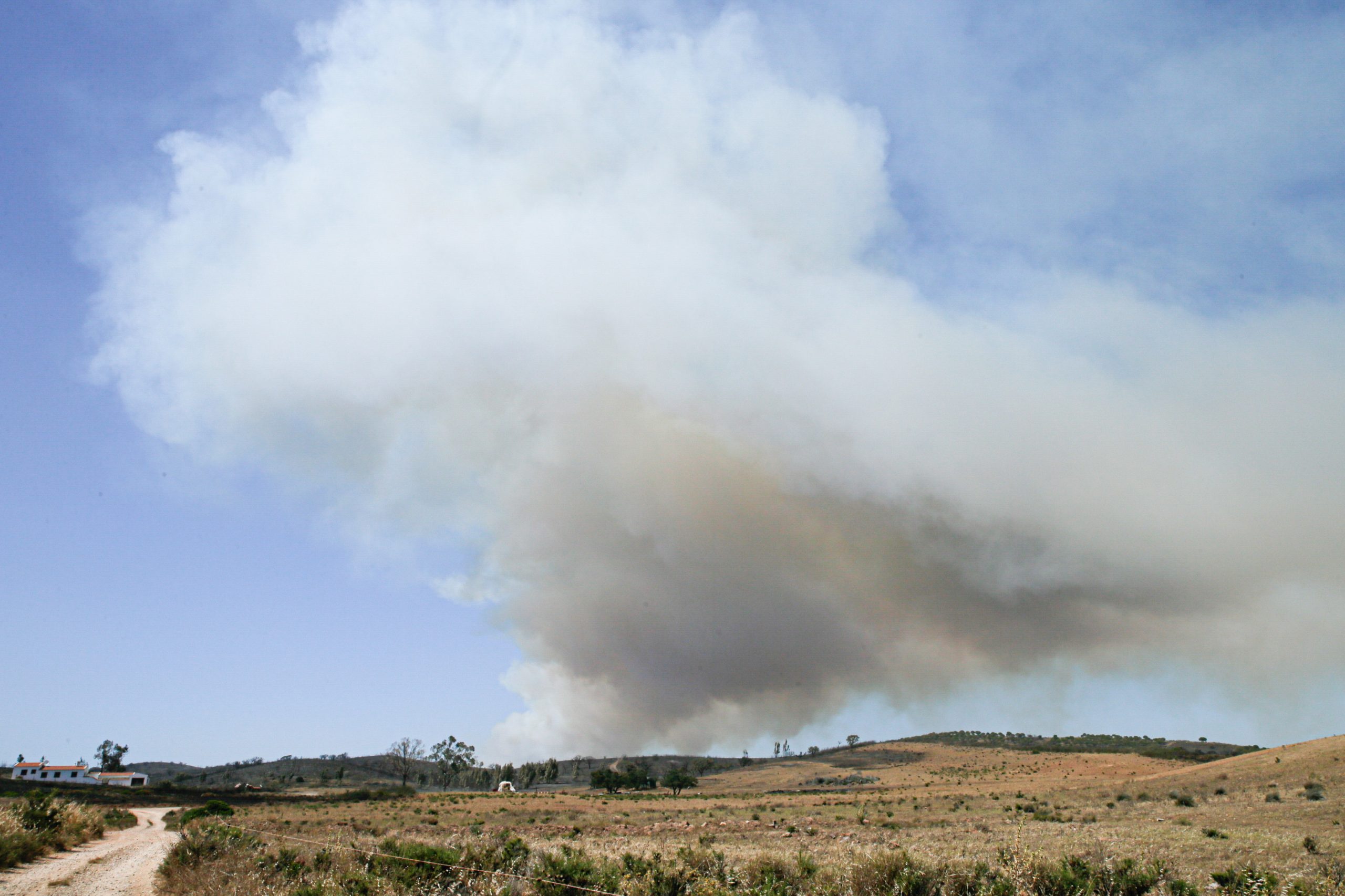 Incêndios: Fogo no Algarve mantém-se dominado mas dispositivo segue no terreno