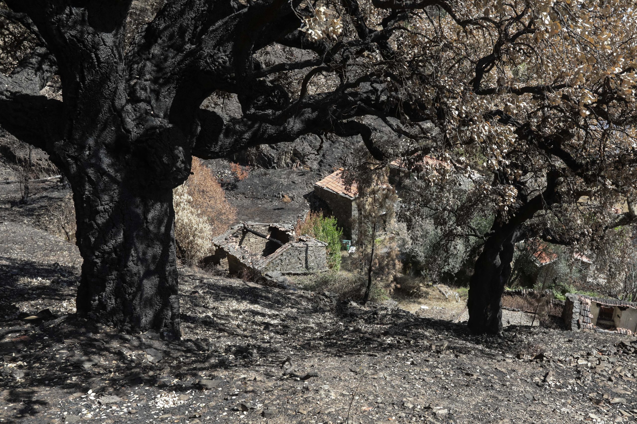 Góis deixa de captar água do rio Ceira devido às cinzas dos incêndios