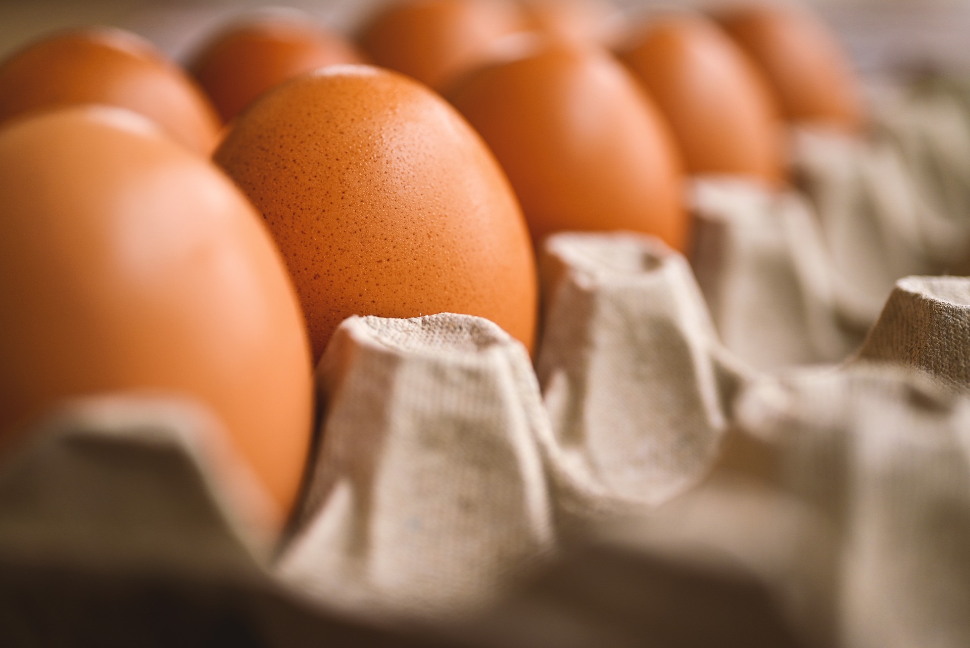 Quantos ovos podemos comer por dia?