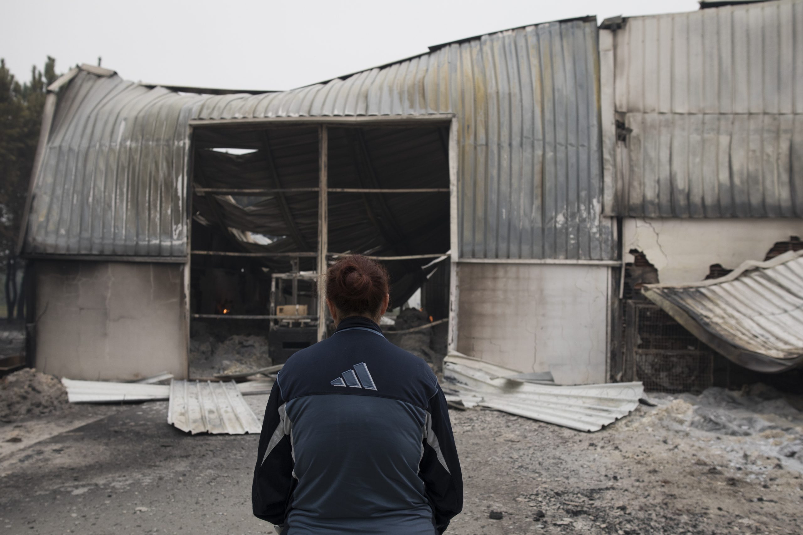 Incêndios: Mais de 145 casas destruídas em Arganil, 85 de primeira habitação