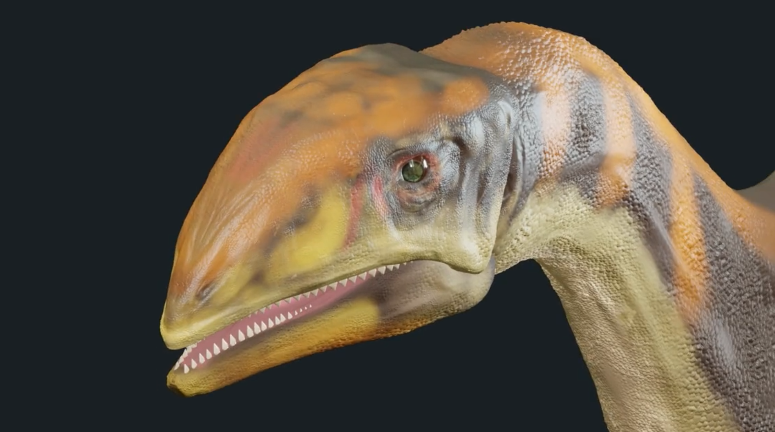 Paleontólogos da Universidade Nova de Lisboa identificam nova espécie de dinossauro na Gronelândia