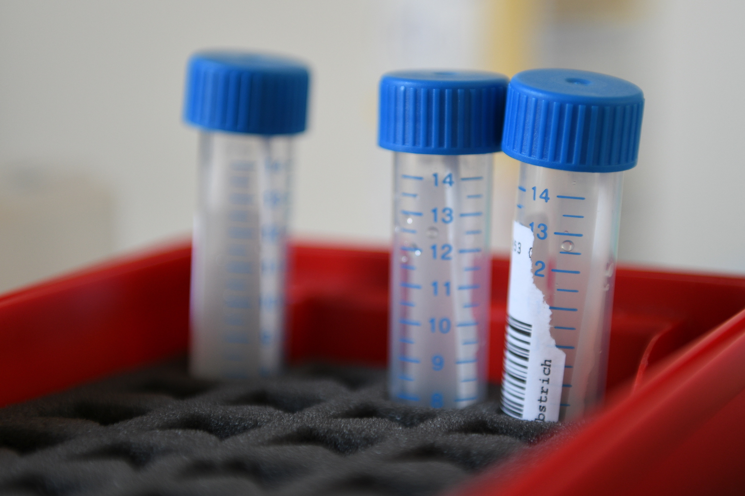 Lar da Mitra em Lisboa regista mais três casos positivos de covid-19 após concluir testagem