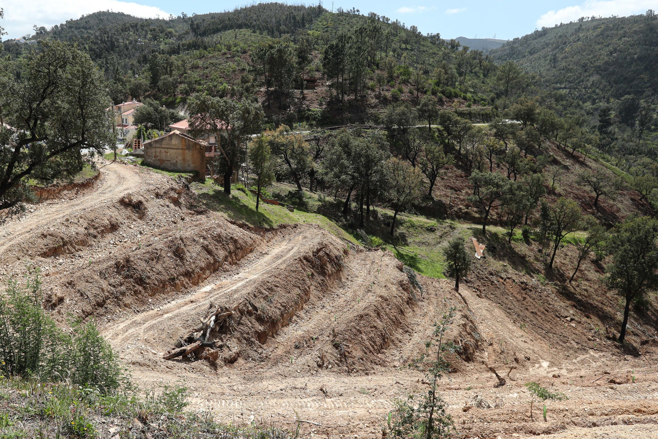 Incêndios: aprovados 592 “condomínios de aldeia” para mudar uso do solo na floresta