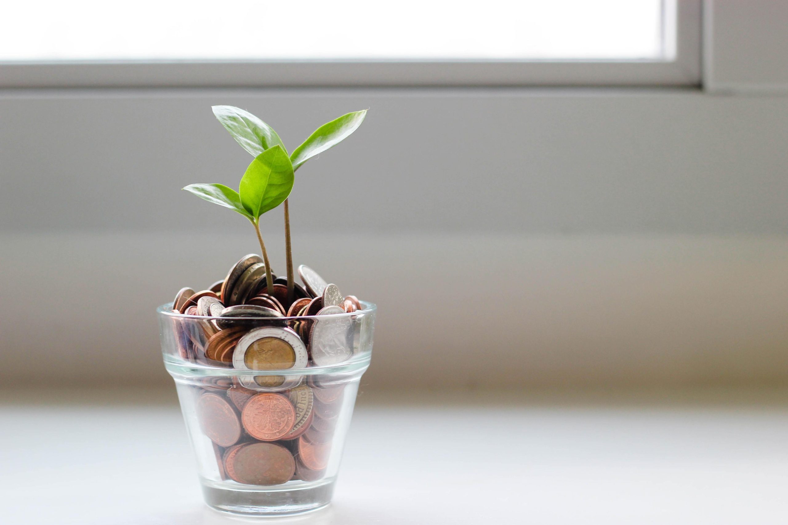 Sabia que o seguro de vida do crédito habitação não precisa de estar associado ao banco que lhe fez o empréstimo? E pode sair mais barato