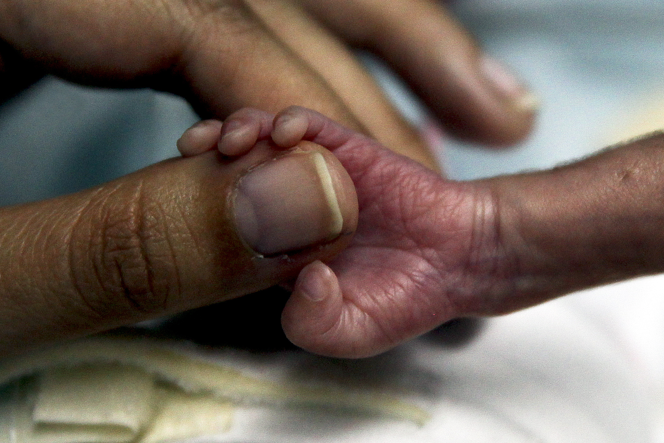 Diretora de Obstetrícia dos Hospitais de Coimbra exige urgência na construção de nova maternidade