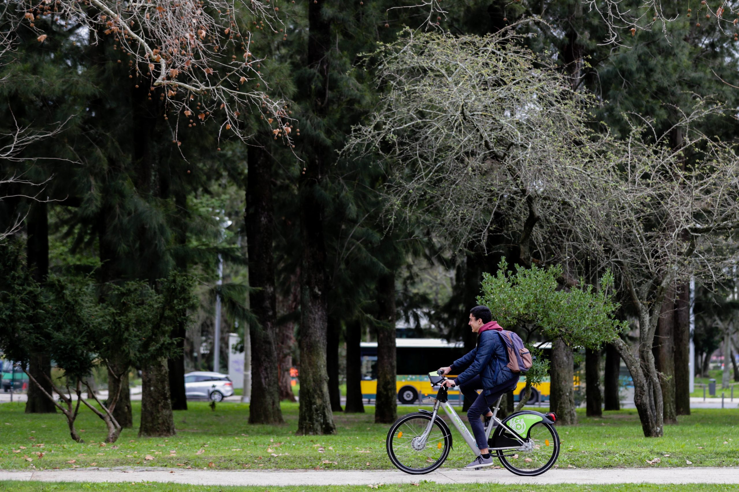 Lisboa Verde: Oposição na capital reconhece importância da distinção mas pede mais medidas