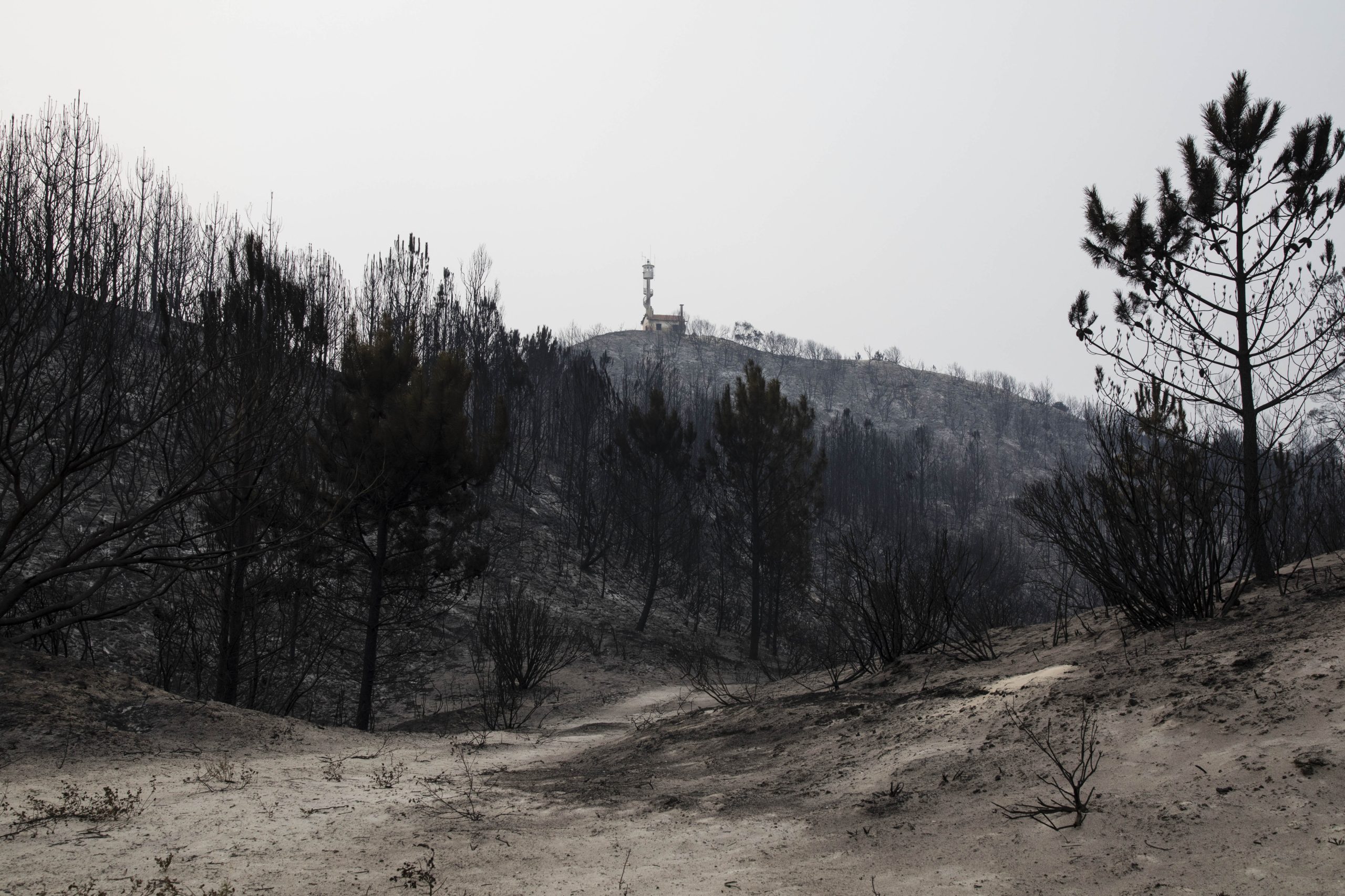 Incêndios: Populações “entregues a si próprias” e em “dramático abandono” em outubro