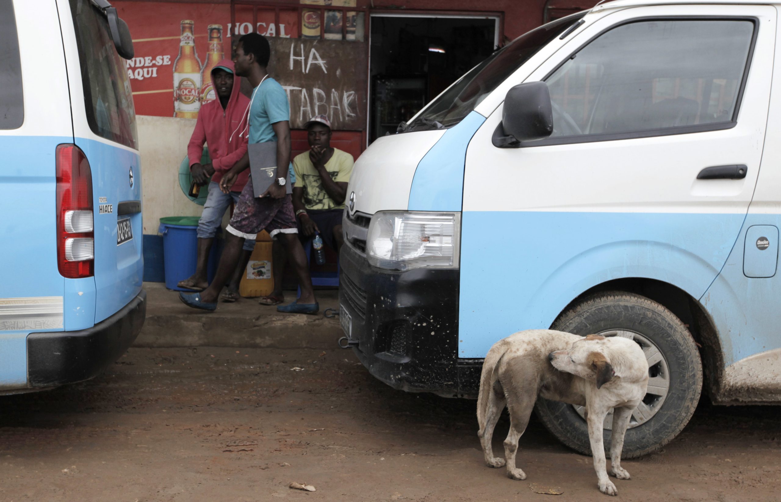 Angola prepara campanha de vacinação animal para conter surto de raiva