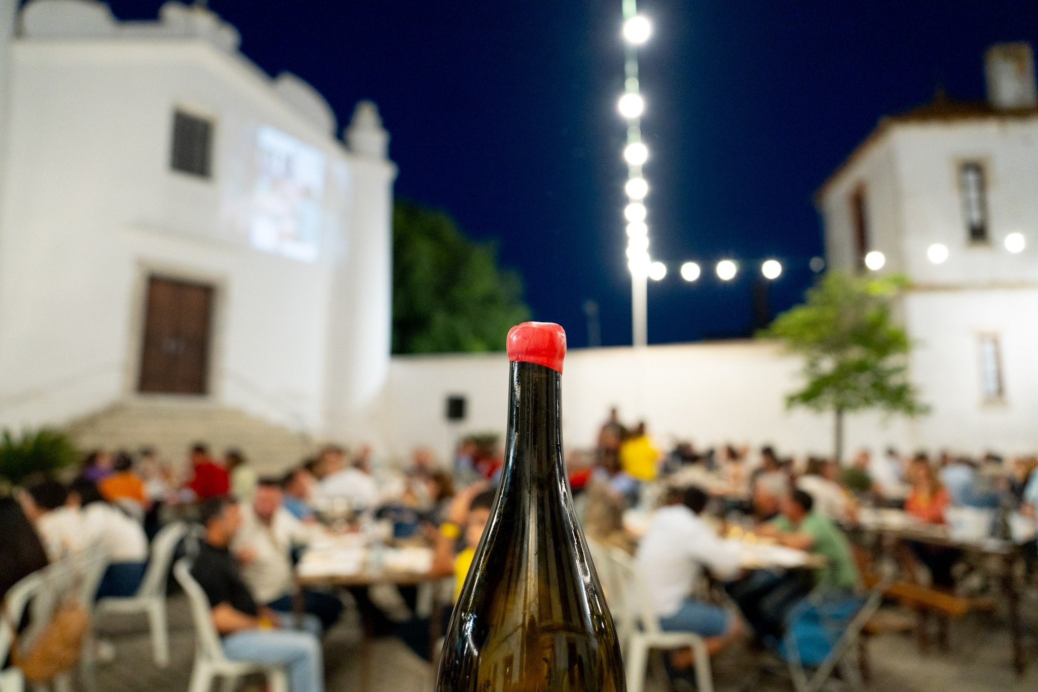 Vila Alva recebe 4.ª edição do “Vinho na Vila” a 9 de maio com mais de 200 vinhos e forte aposta gastronómica