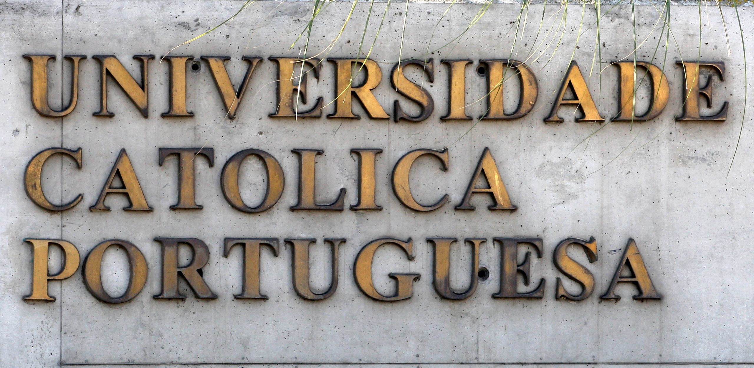Câmara de Sintra e Católica reuniram-se para definir instalação do curso de Medicina