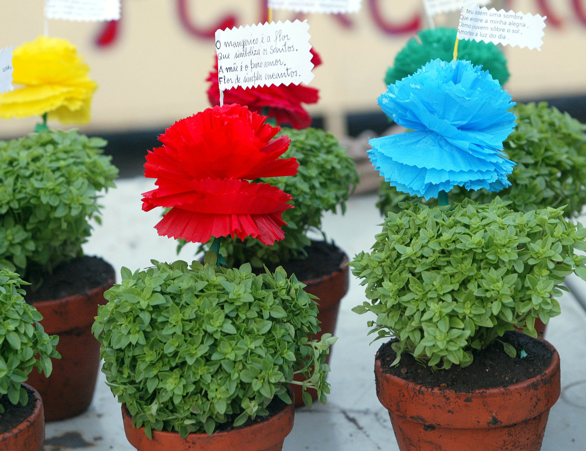Metro de Lisboa oferece flores e manjericos nos Santos Populares