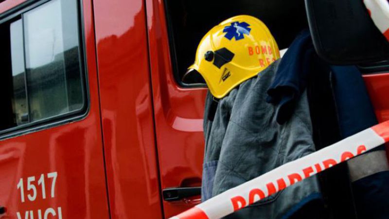 Bombeiros de Amarante voltam a utilizar cães em operações de salvamento