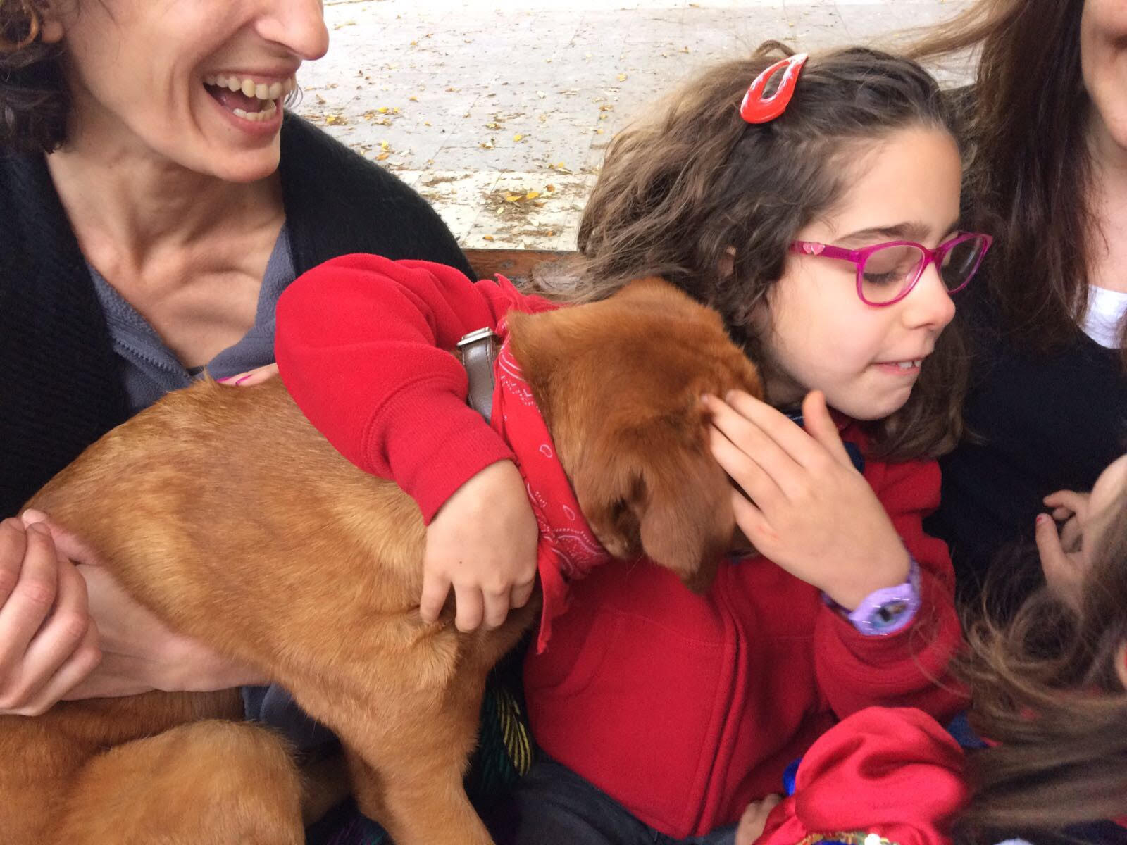A alegria da Maria salvou o cão Belchior