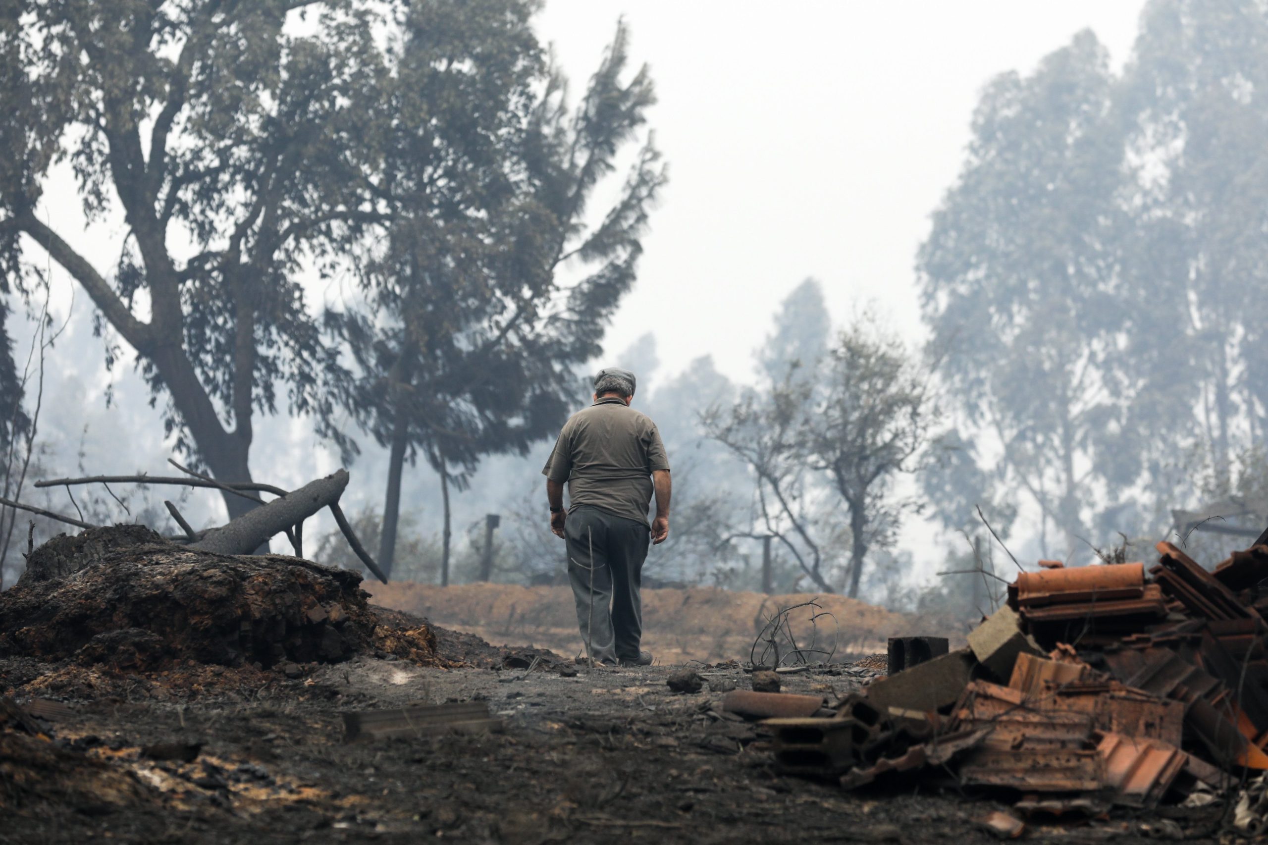 Incêndios: Governo estende apoios de Pedrógão a municípios afetados por fogos de outubro