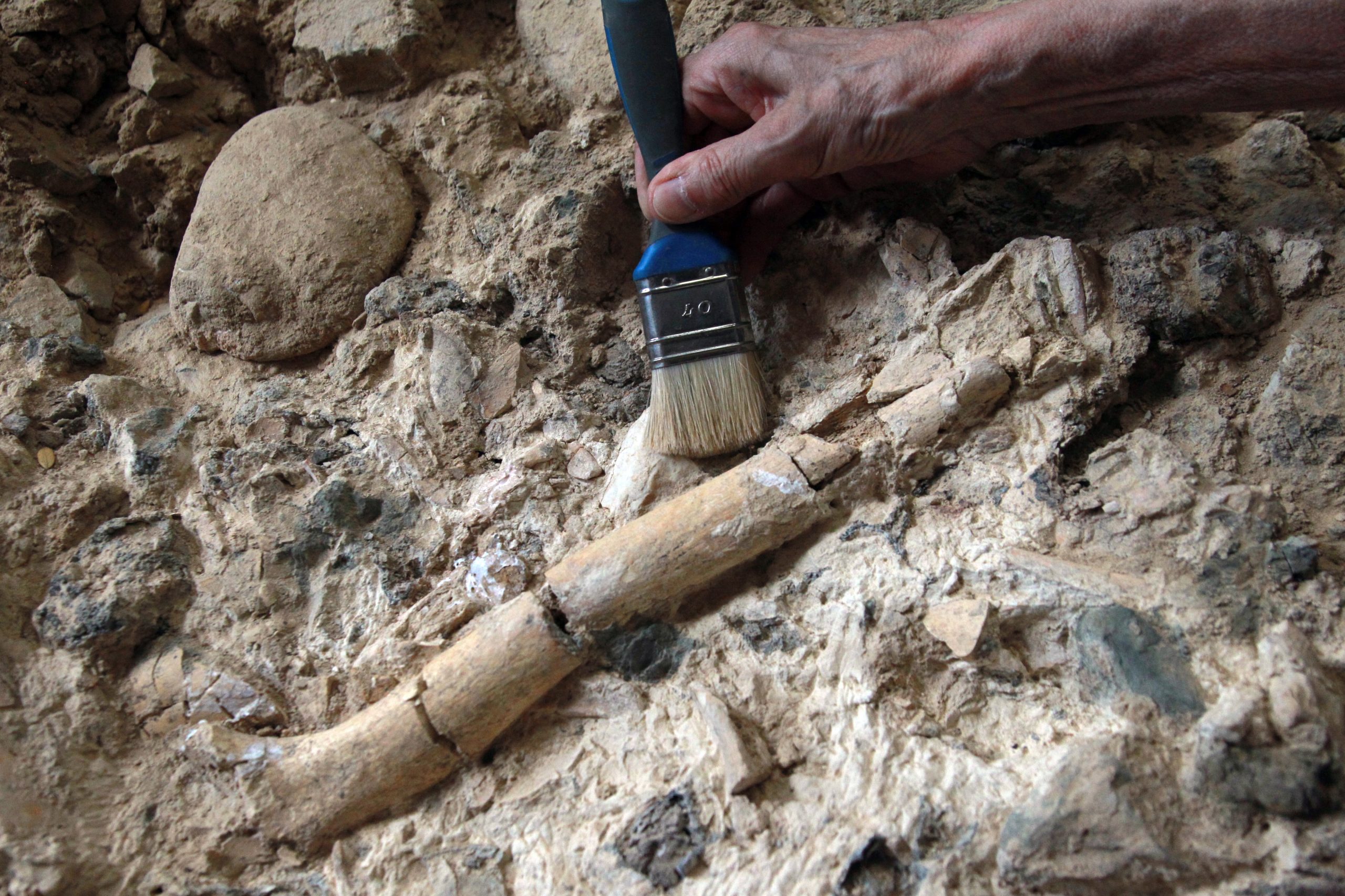 Cientistas descobrem na África do Sul as primeiras tumbas fúnebres da pré-história