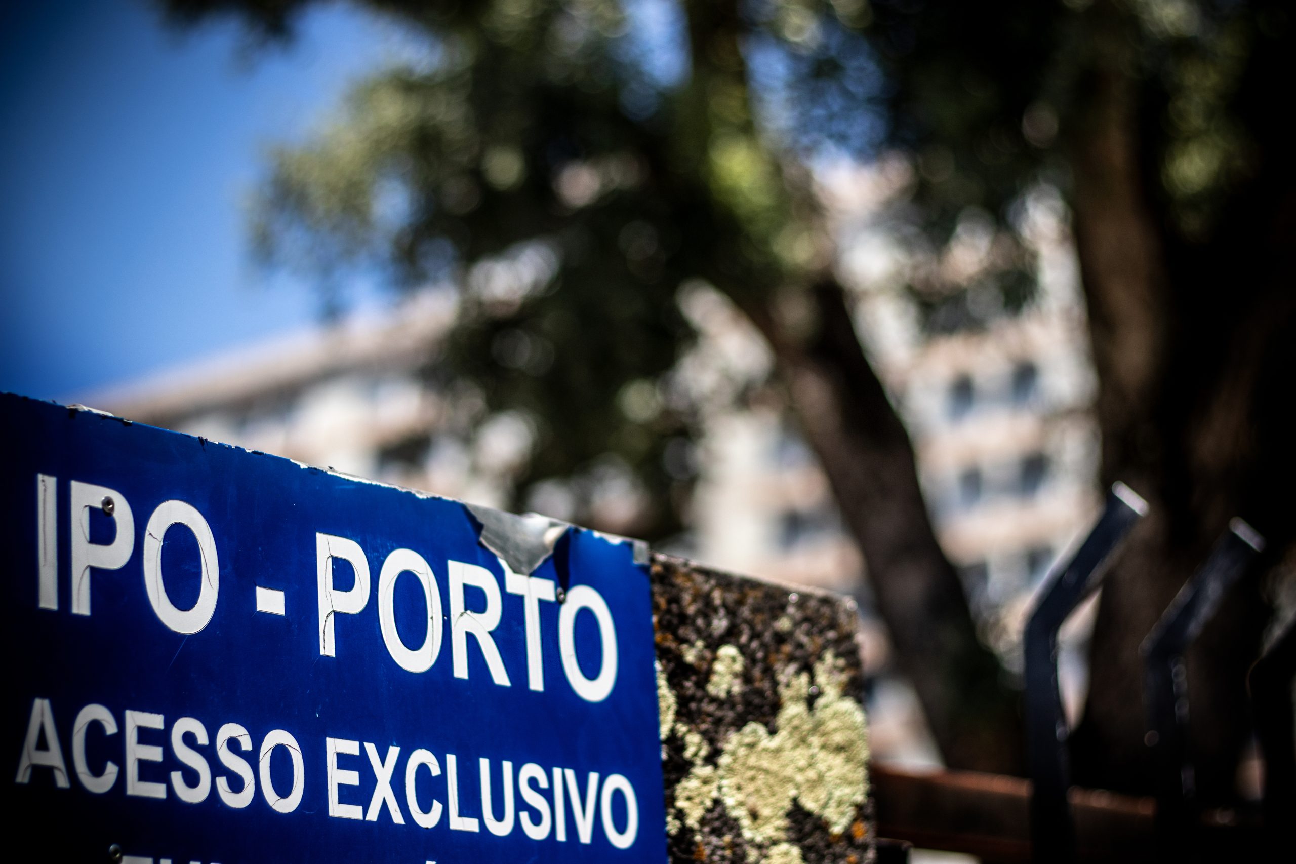 Diretora do IPO/Porto alerta para doentes com cancro a chegar em estado mais avançado
