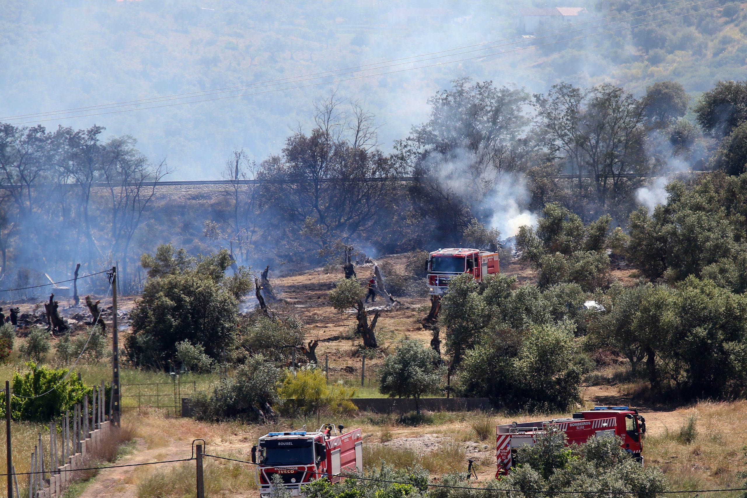 Incêndios rurais e violência doméstica nas prioridades da proposta de lei de política criminal