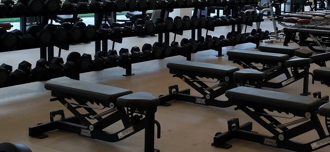 Ginásios. Como treinar de forma segura e sem constrangimentos?