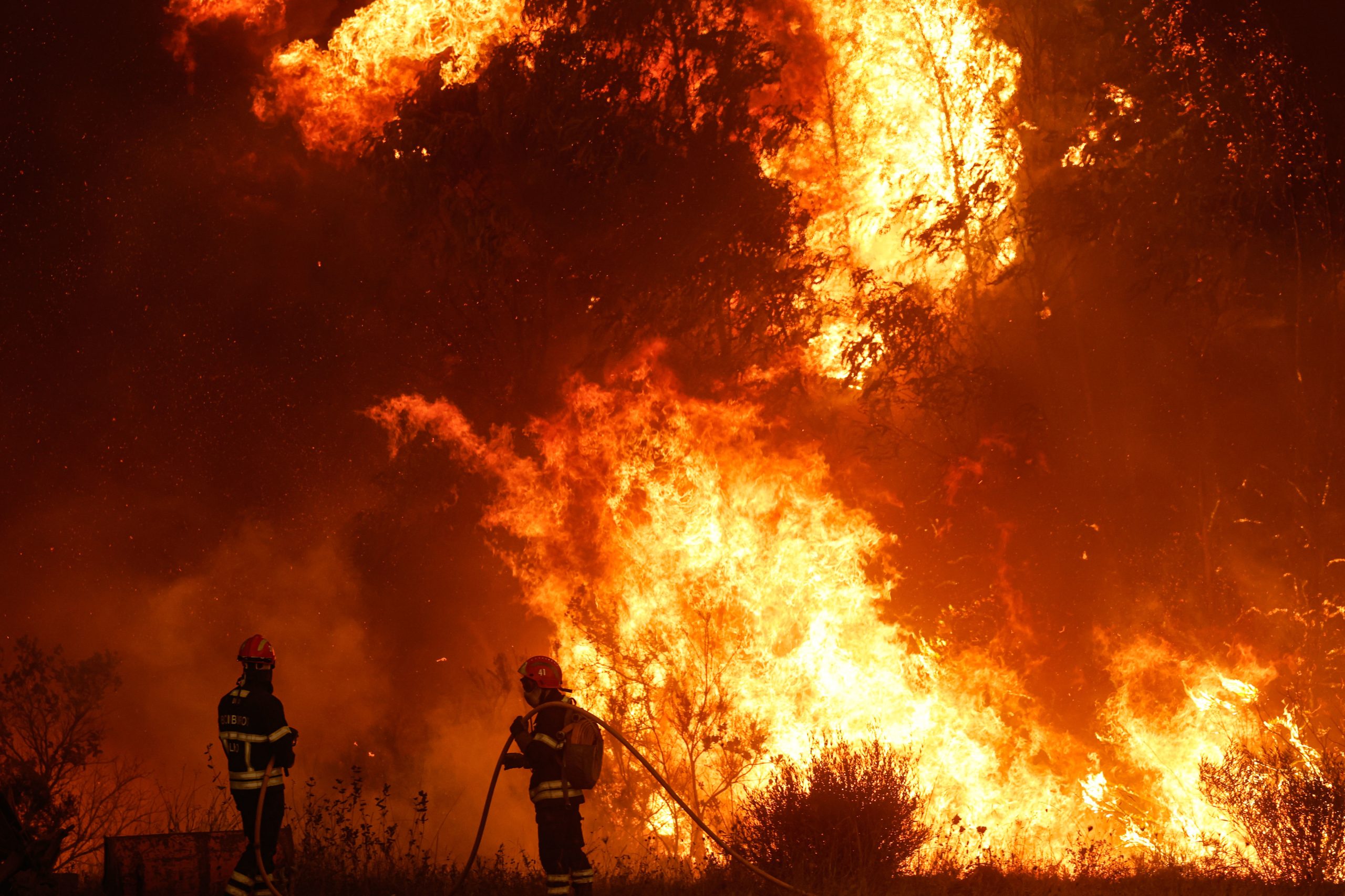 Perigo de incêndio rural vai agravar-se gradualmente até sábado. Santarém pode chegar aos 38ºC