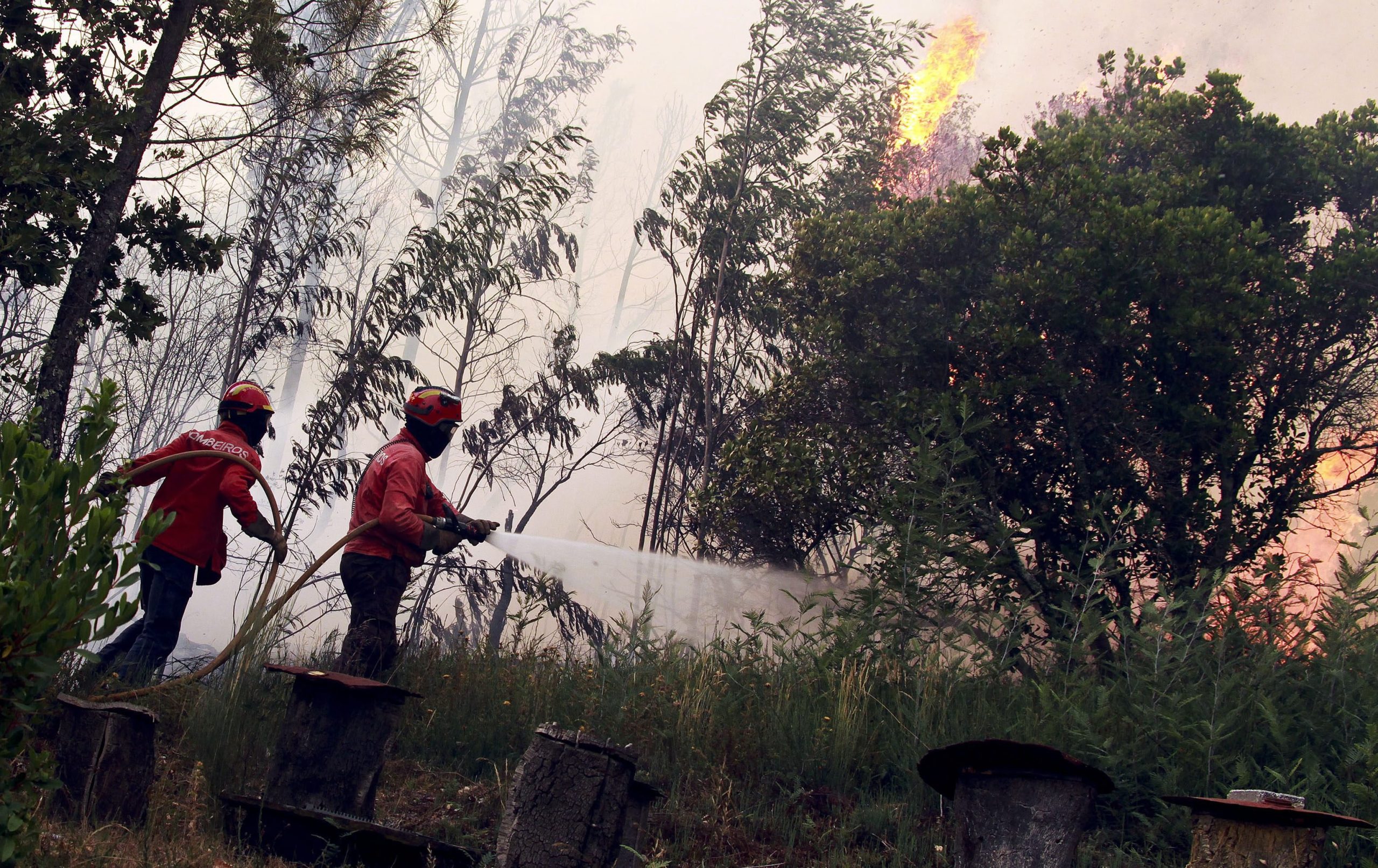 Incêndio em Oliveira do Hospital leva ao desespero presidente da Câmara: “Não há avião, meio aéreo, não há nada. Estamos no meio do caos e ninguém faz nada”