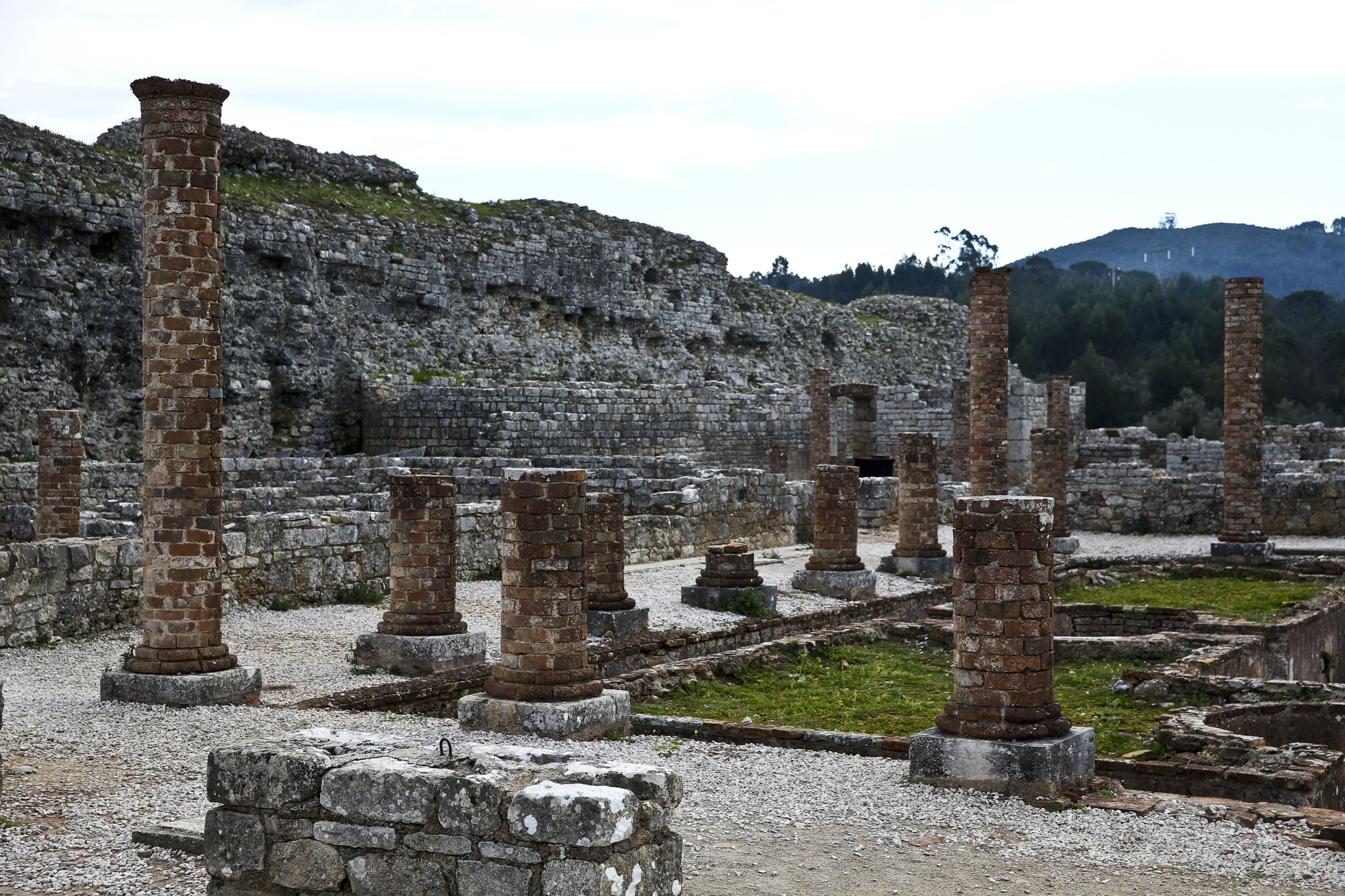 Projeto quer tirar o mosaico romano de Conímbriga da vitrina e torná-lo vivo