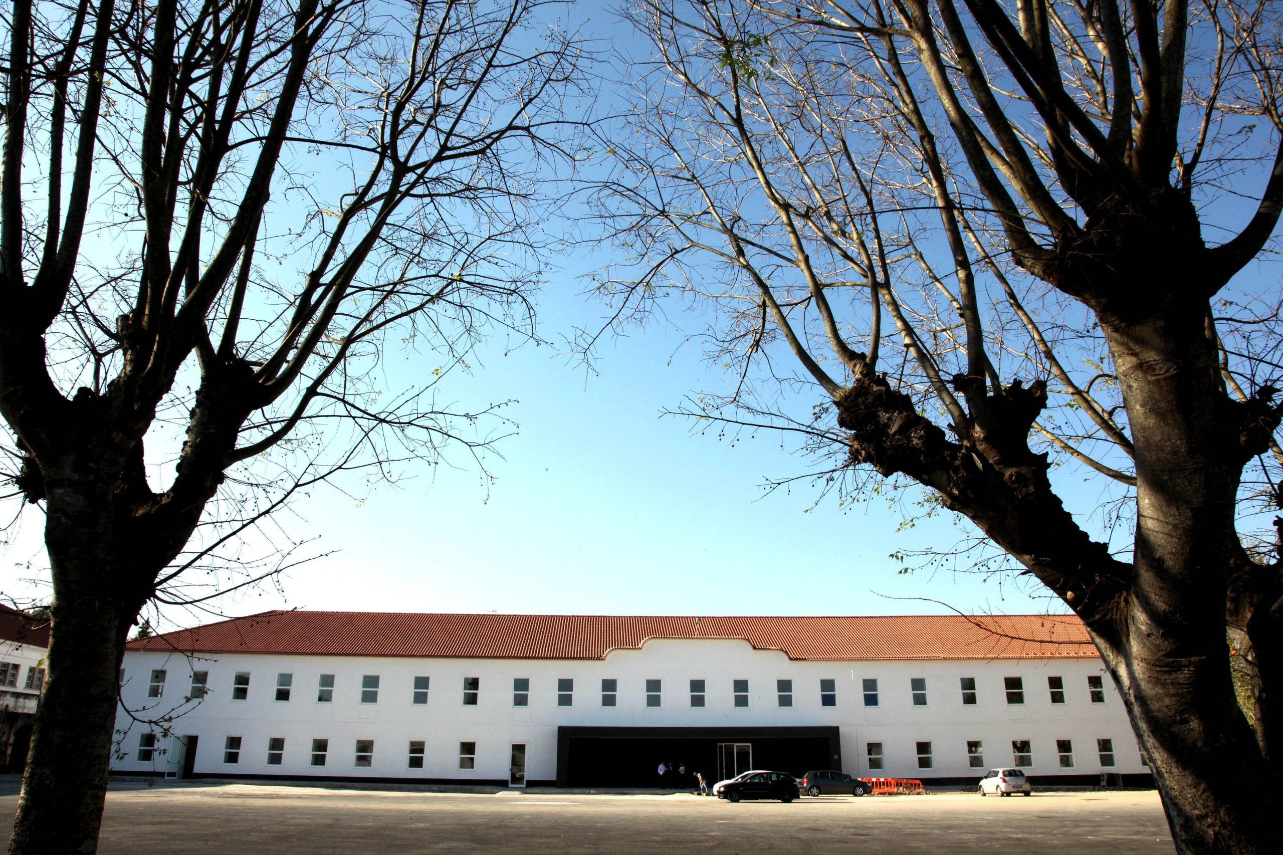 Tribunal da Concorrência absolve Zurich e Lusitânia no processo do cartel das seguradoras