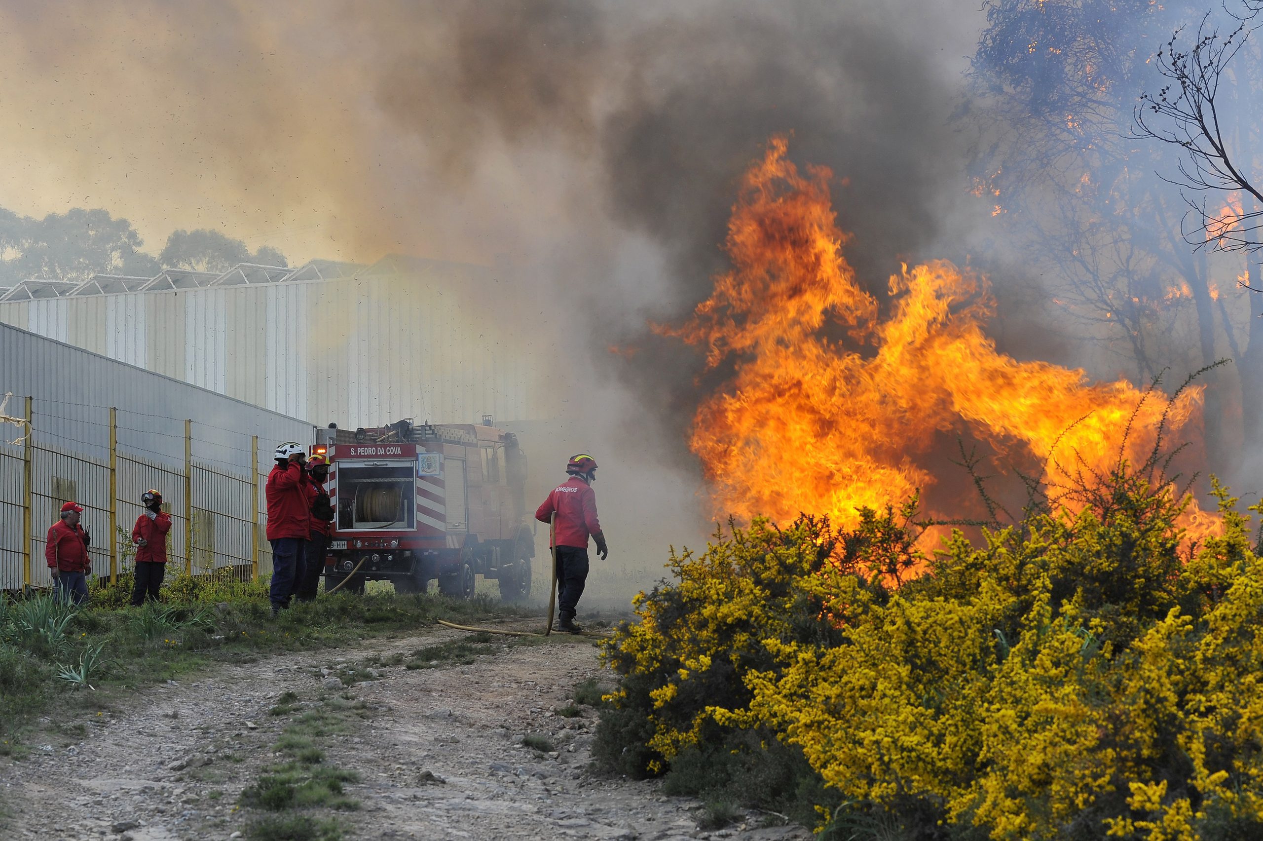 Incêndios: Chamas em Alfena, Valongo, provocaram danos em escola secundária