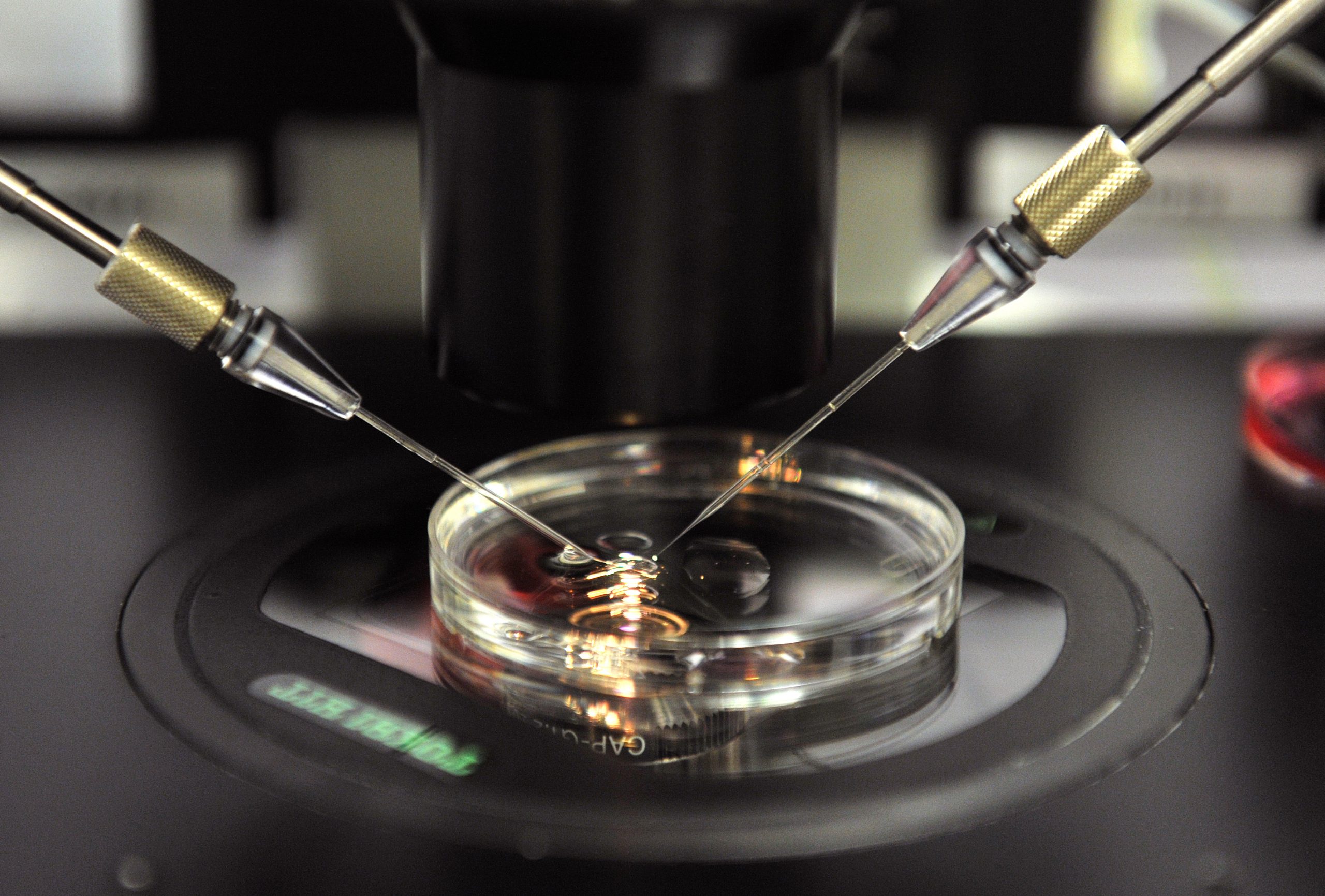 Nanopartícula desenvolvida em Espanha pode abrir novo caminho no tratamento do cancro