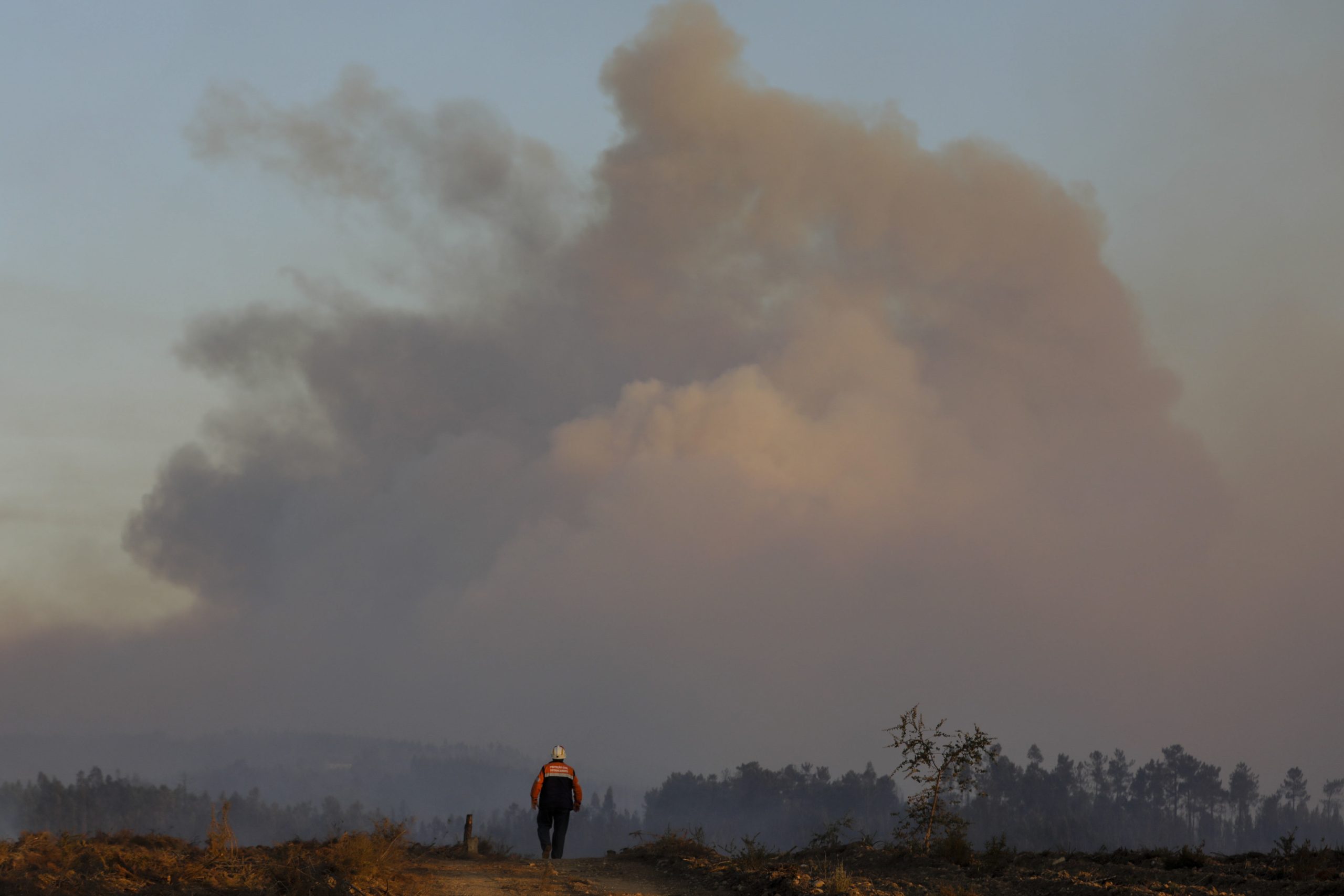 Incêndios: Autoestrada 6 reabre após uma hora cortada devido a fogo em Estremoz