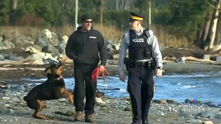 Apareceu mais um pé numa praia canadiana. É o 13.º em dez anos